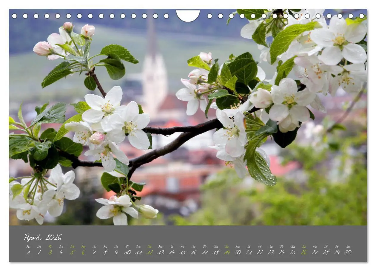 Bild: 9783457775554 | Romantisches Südtirol (Wandkalender 2026 DIN A4 quer), CALVENDO...