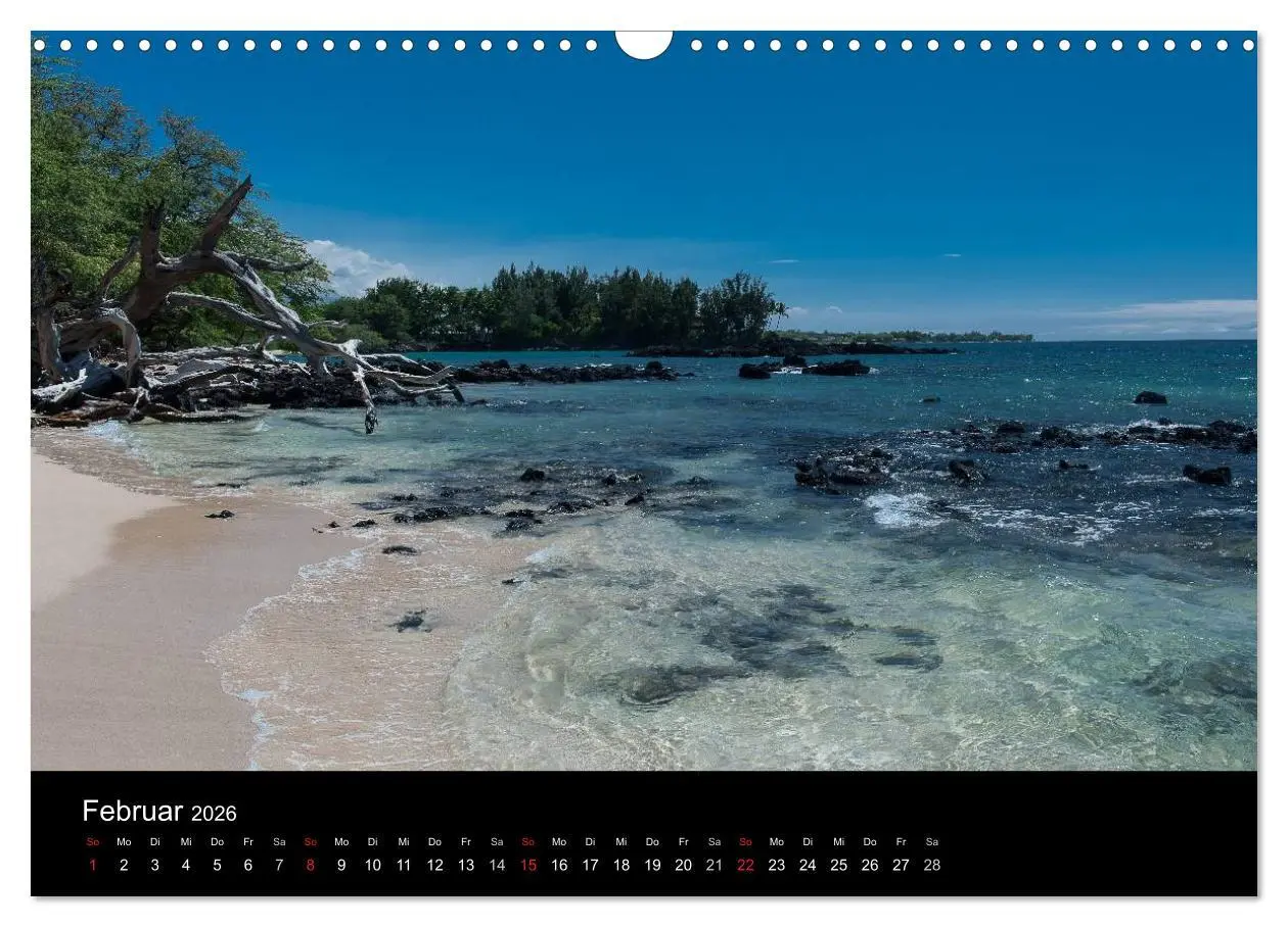 Bild: 9783516165654 | Hawaiianische Träume Big Island (Wandkalender 2026 DIN A3 quer),...