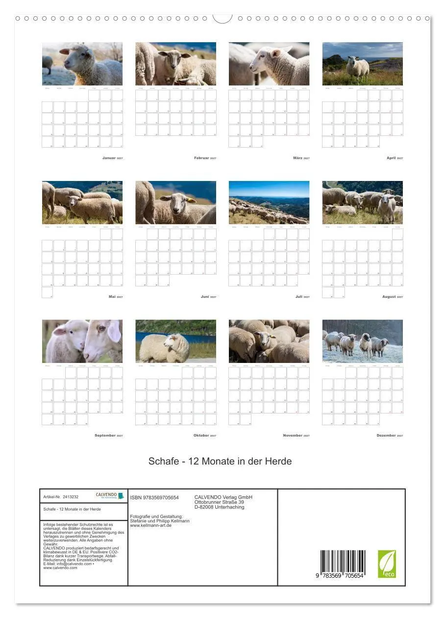 Bild: 9783569705654 | Schafe - 12 Monate in der Herde (hochwertiger Premium Wandkalender...