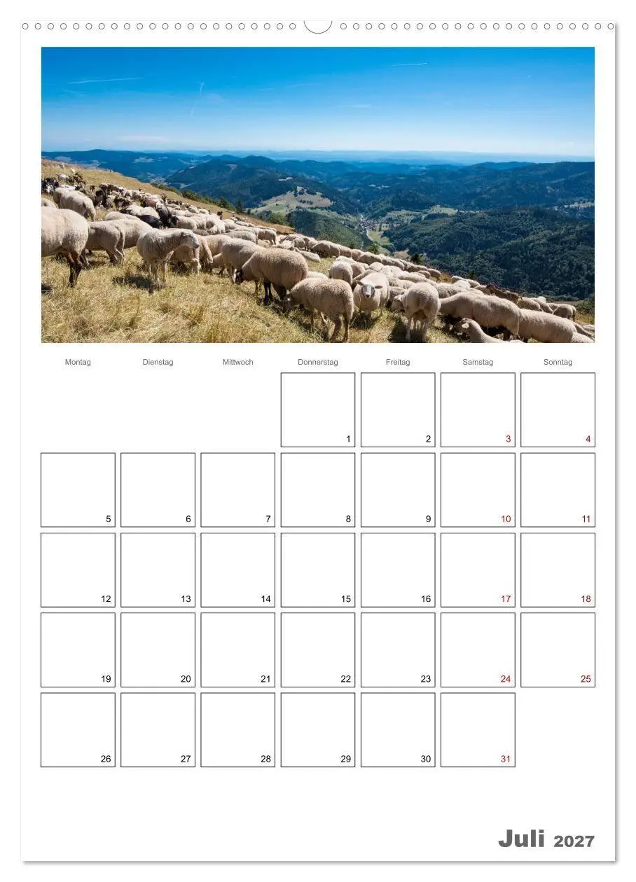 Bild: 9783569705654 | Schafe - 12 Monate in der Herde (hochwertiger Premium Wandkalender...