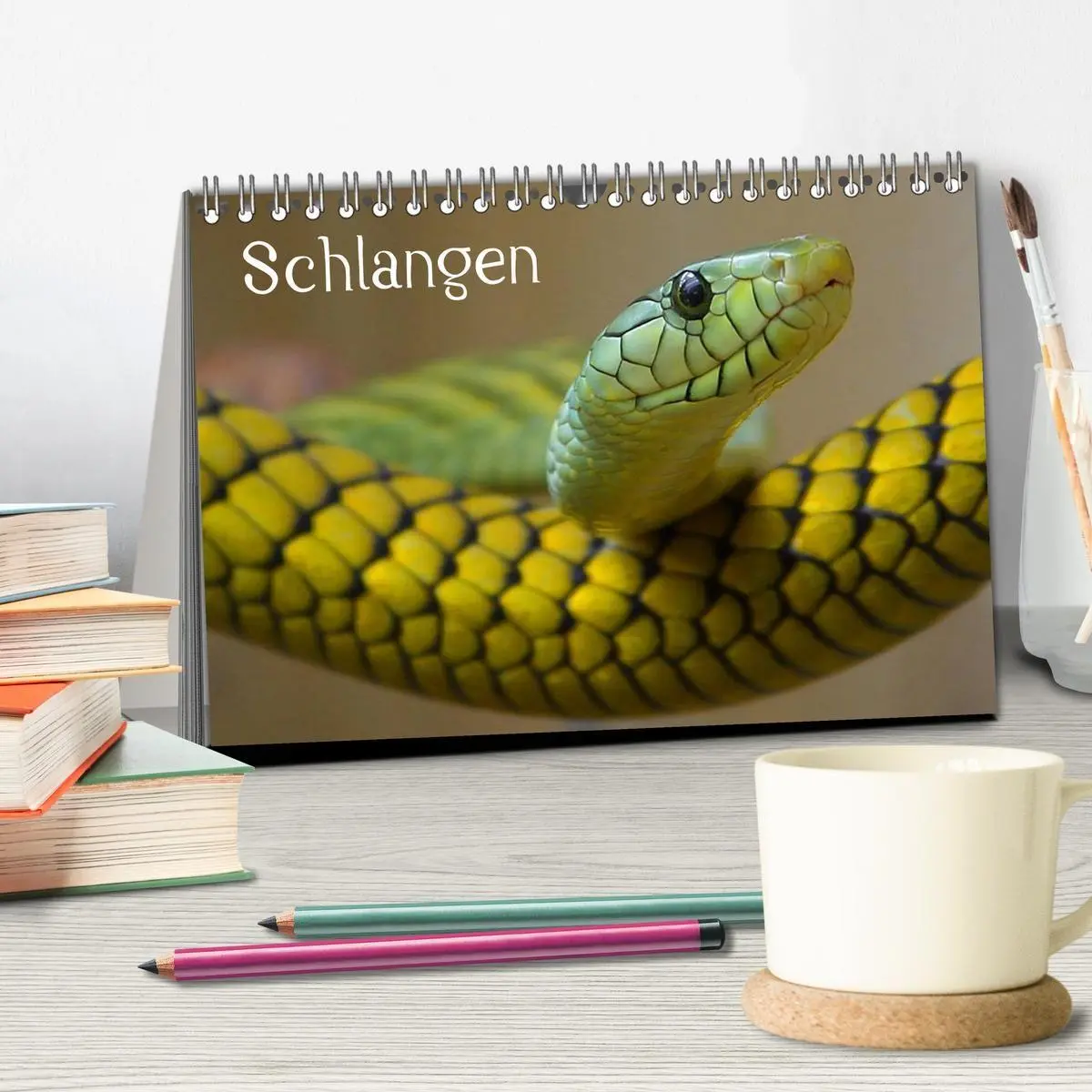 Bild: 9783594145654 | Schlangen (Tischkalender 2027 DIN A5 quer), CALVENDO Monatskalender