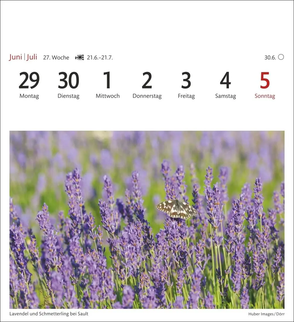 Bild: 9783840035654 | Provence Sehnsuchtskalender 2026 - Wochenkalender mit 53 Postkarten