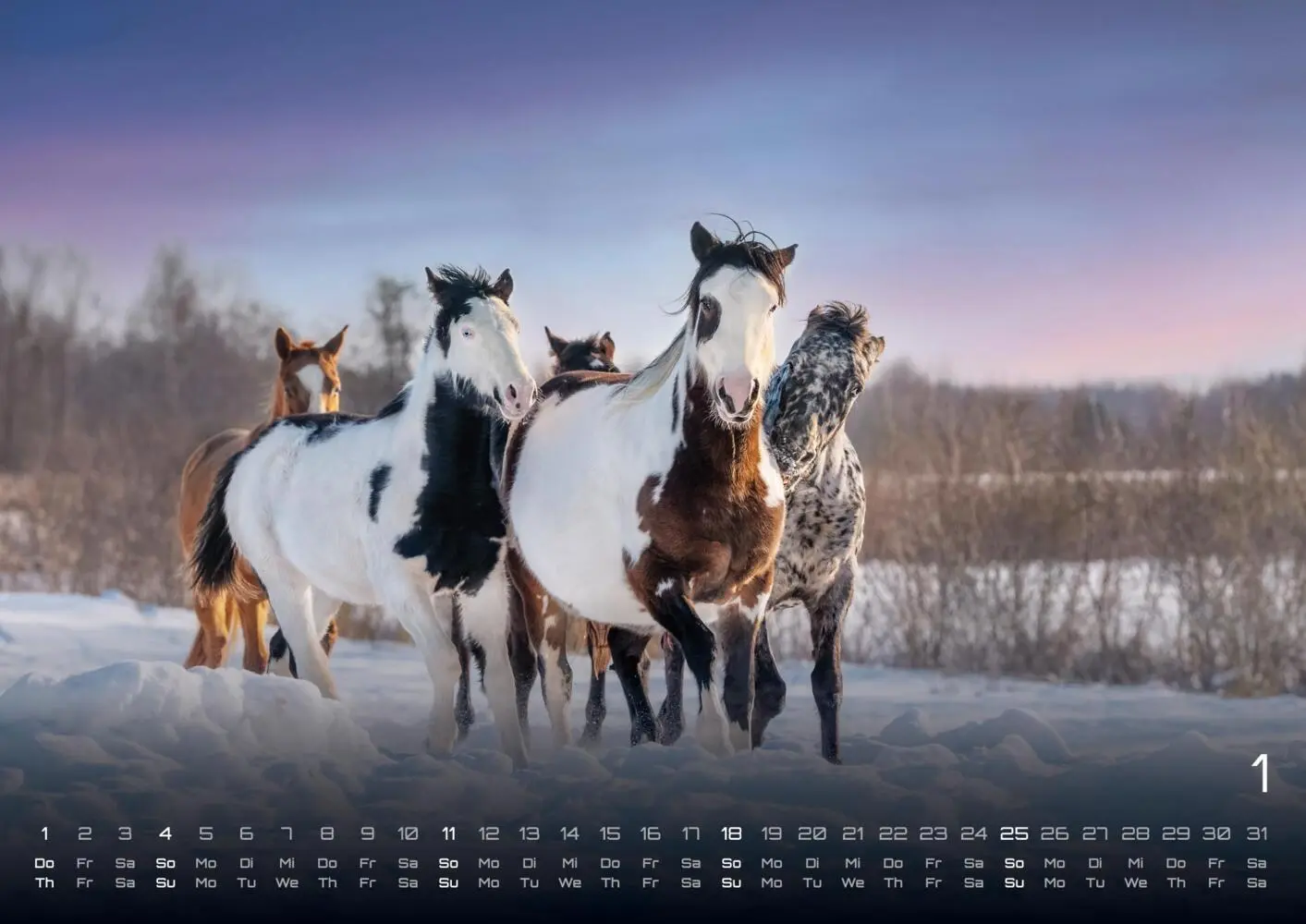 Bild: 9783986735654 | Pferdegeflüster - Der Pferdekalender - 2026 - Kalender DIN A3 | 15 S.