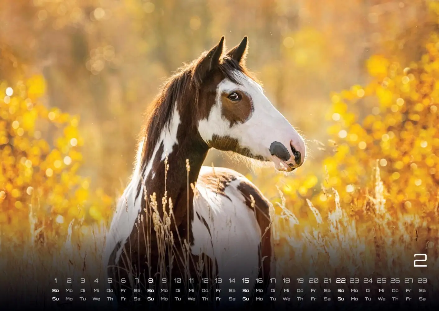 Bild: 9783986735654 | Pferdegeflüster - Der Pferdekalender - 2026 - Kalender DIN A3 | 15 S.