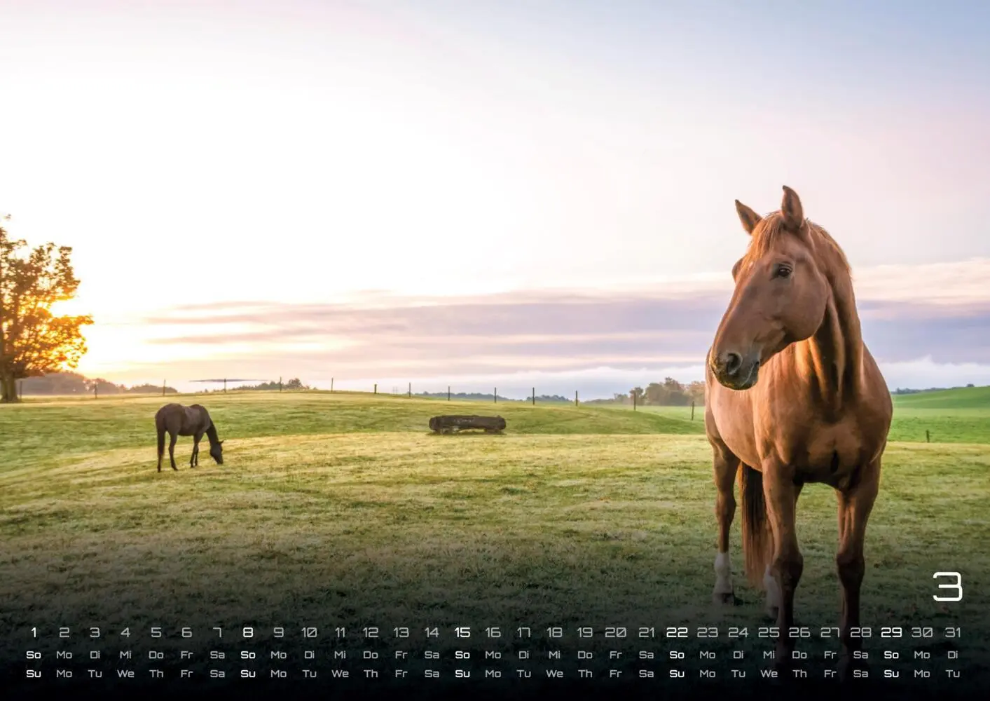 Bild: 9783986735654 | Pferdegeflüster - Der Pferdekalender - 2026 - Kalender DIN A3 | 15 S.