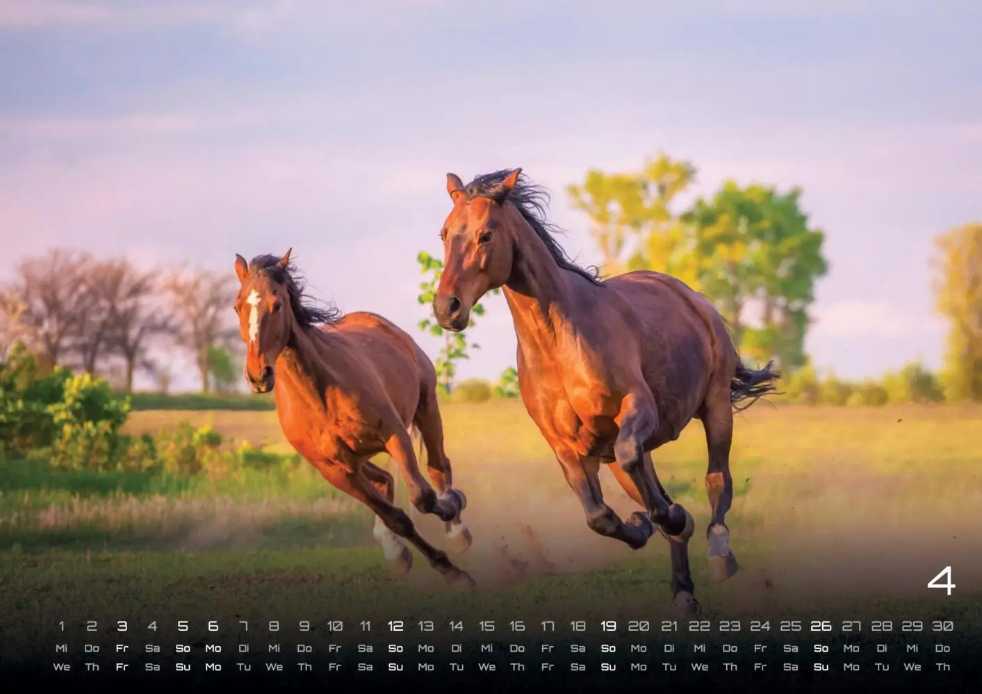 Bild: 9783986735654 | Pferdegeflüster - Der Pferdekalender - 2026 - Kalender DIN A3 | 15 S.