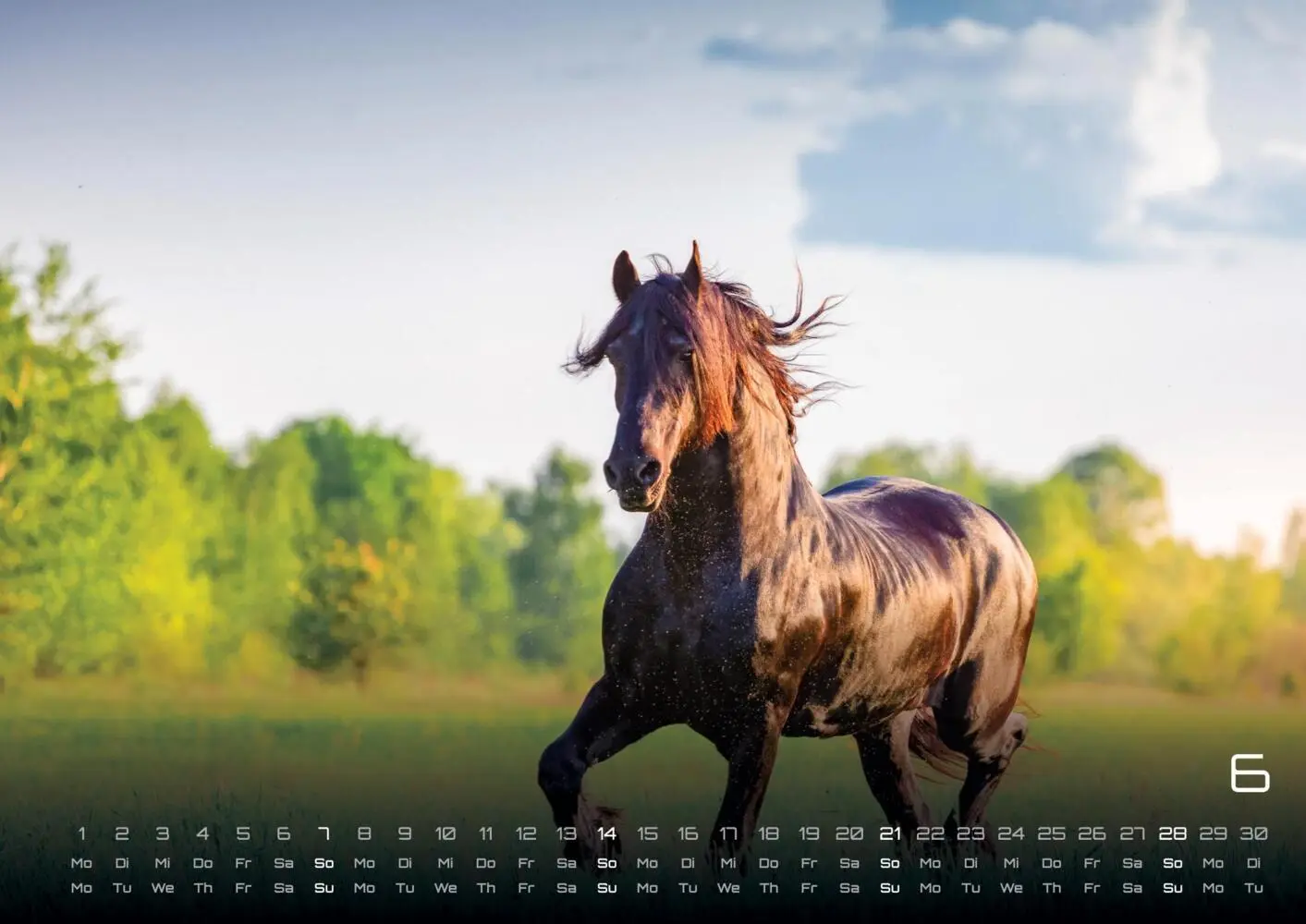 Bild: 9783986735654 | Pferdegeflüster - Der Pferdekalender - 2026 - Kalender DIN A3 | 15 S.