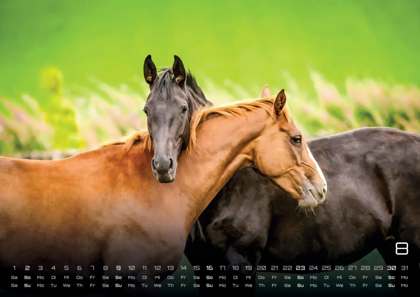 Bild: 9783986735654 | Pferdegeflüster - Der Pferdekalender - 2026 - Kalender DIN A3 | 15 S.