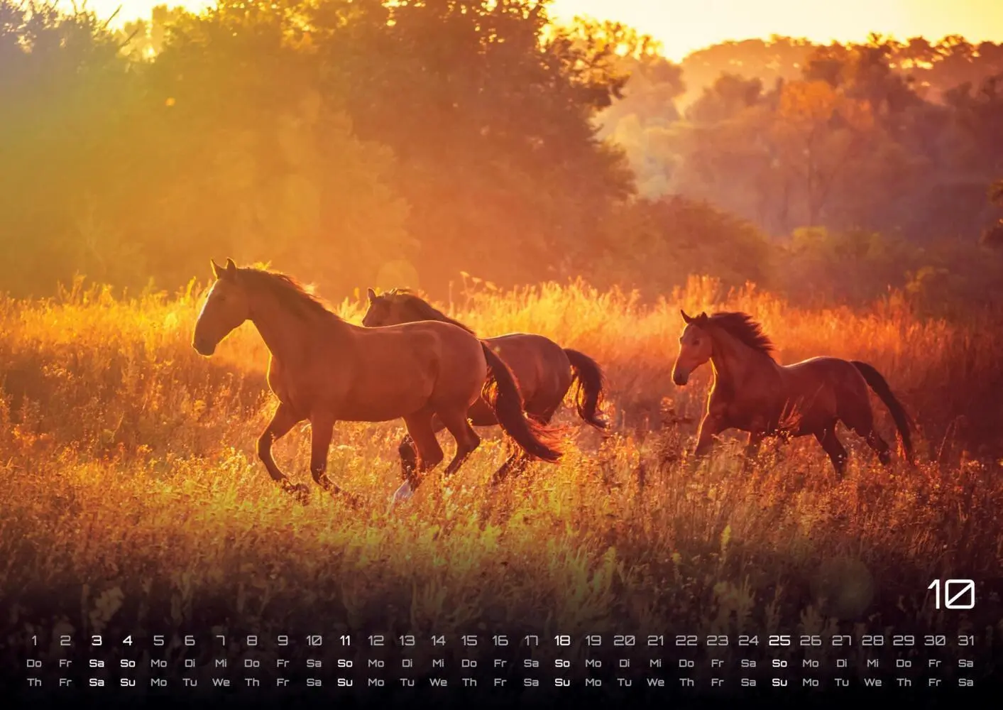 Bild: 9783986735654 | Pferdegeflüster - Der Pferdekalender - 2026 - Kalender DIN A3 | 15 S.