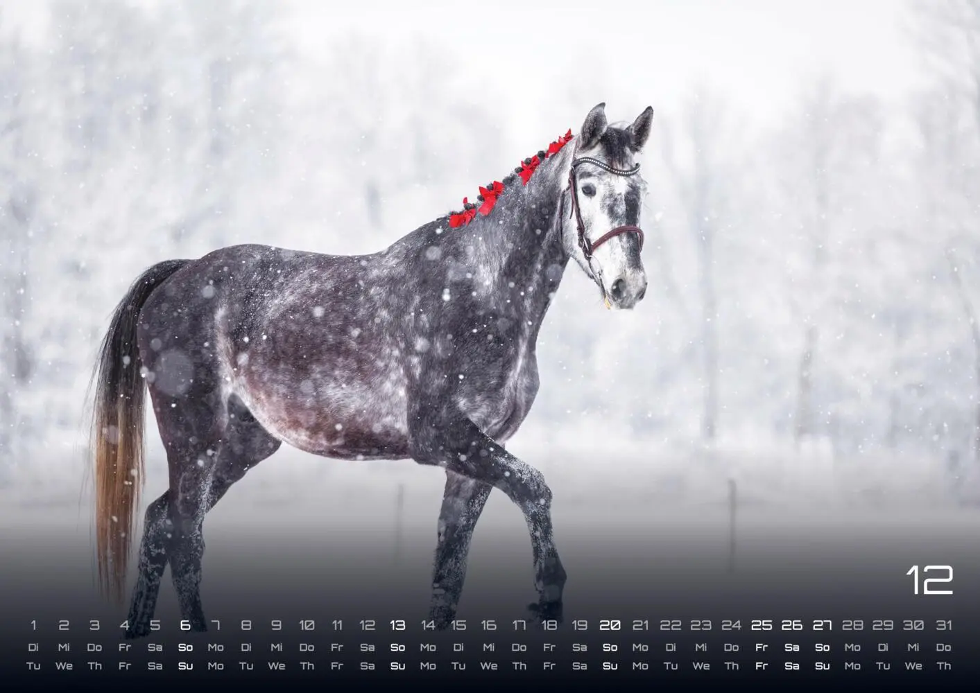 Bild: 9783986735654 | Pferdegeflüster - Der Pferdekalender - 2026 - Kalender DIN A3 | 15 S.