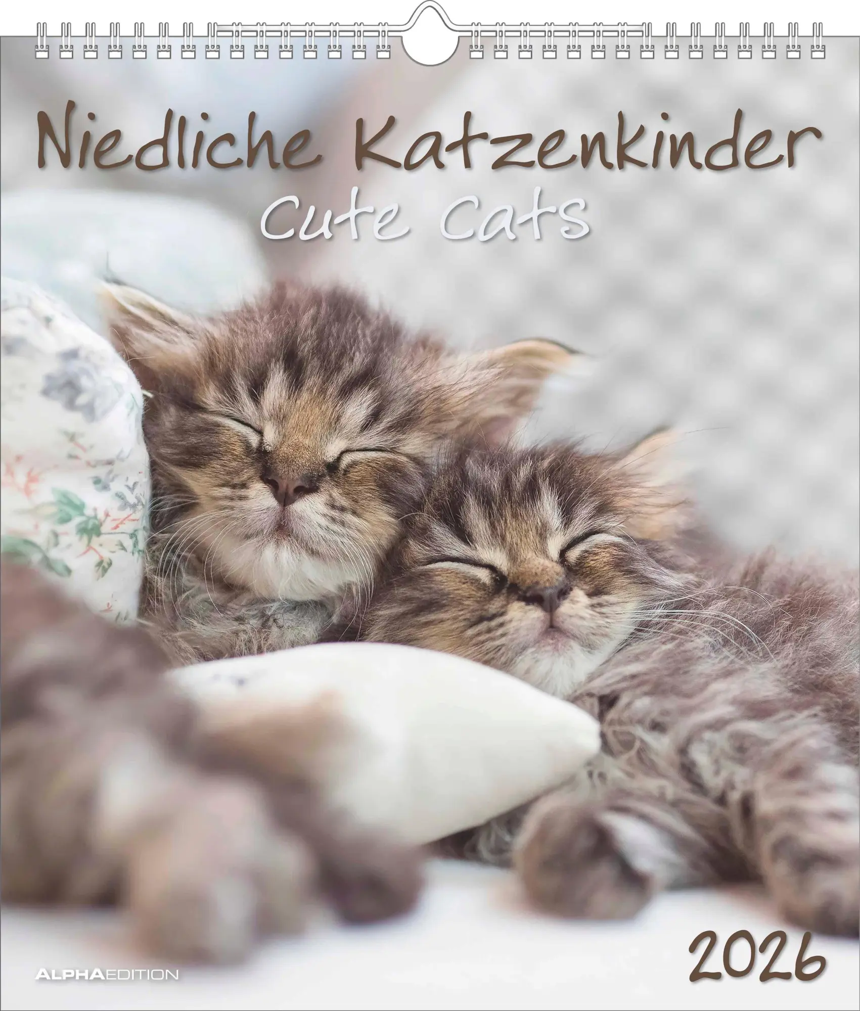 Cover: 4069095005754 | Niedliche Katzenkinder 2026 - Wand-Kalender - Tier-Kalender - 30x34