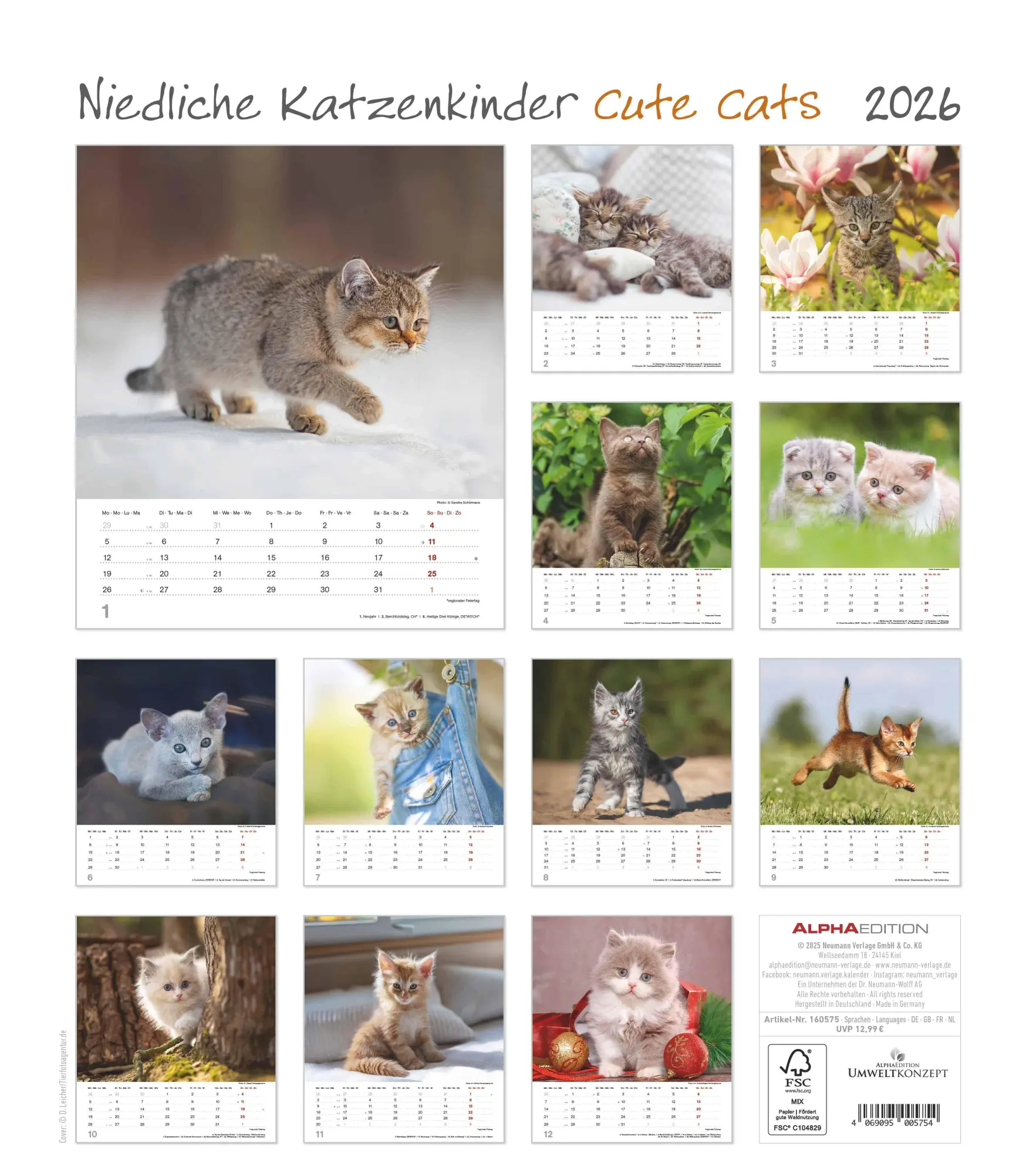 Rückseite: 4069095005754 | Niedliche Katzenkinder 2026 - Wand-Kalender - Tier-Kalender - 30x34