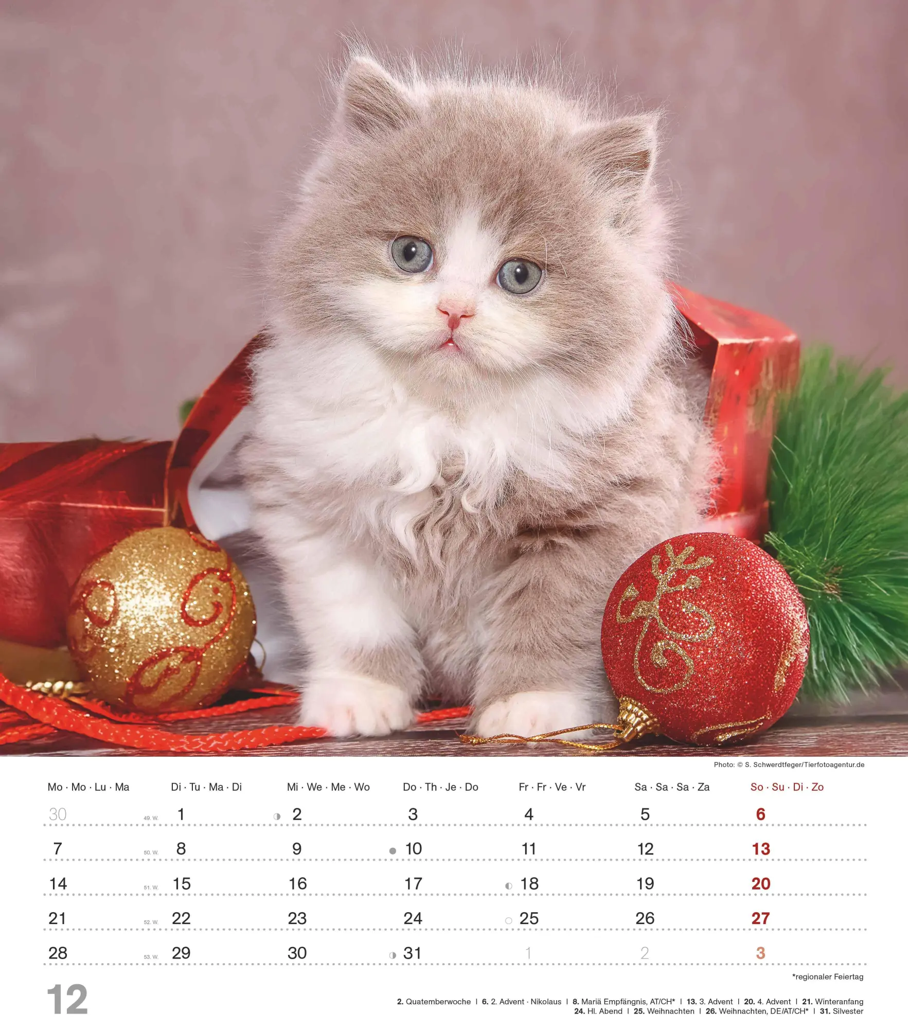 Bild: 4069095005754 | Niedliche Katzenkinder 2026 - Wand-Kalender - Tier-Kalender - 30x34