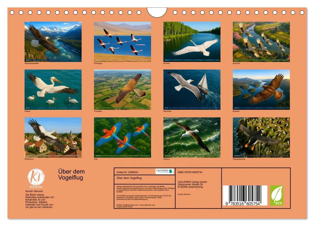 Bild: 9783516605754 | Über dem Vogelflug (Wandkalender 2026 DIN A4 quer), CALVENDO...