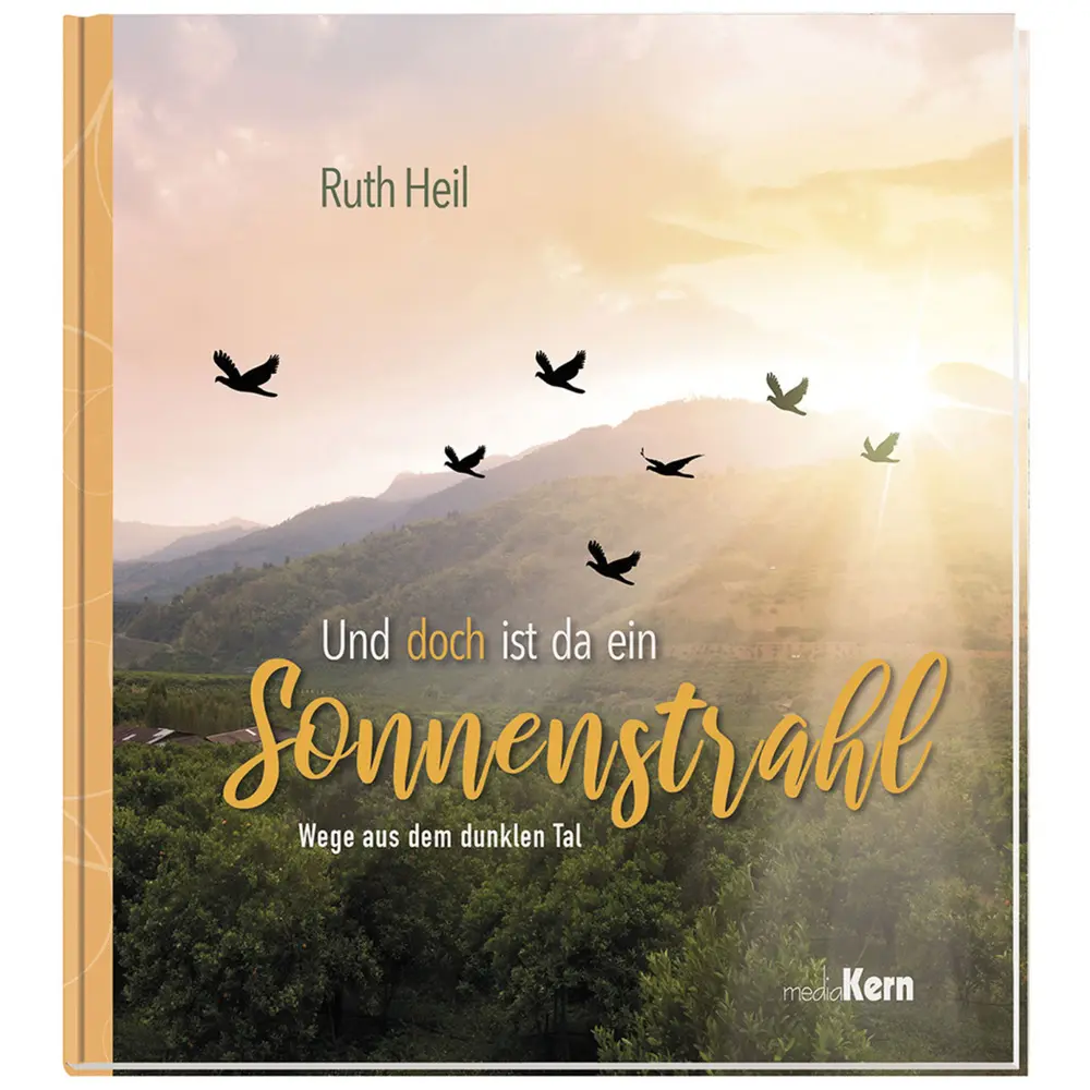 Cover: 9783842935754 | Und doch ist da ein Sonnenstrahl | Wege aus dem dunklen Tal | Heil