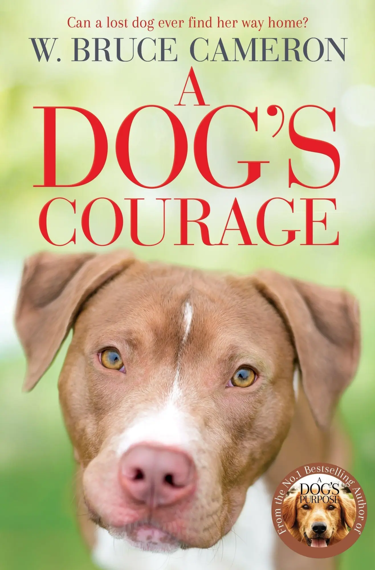Cover: 9781529075854 | A Dog's Courage | W. Bruce Cameron | Taschenbuch | Englisch | 2021