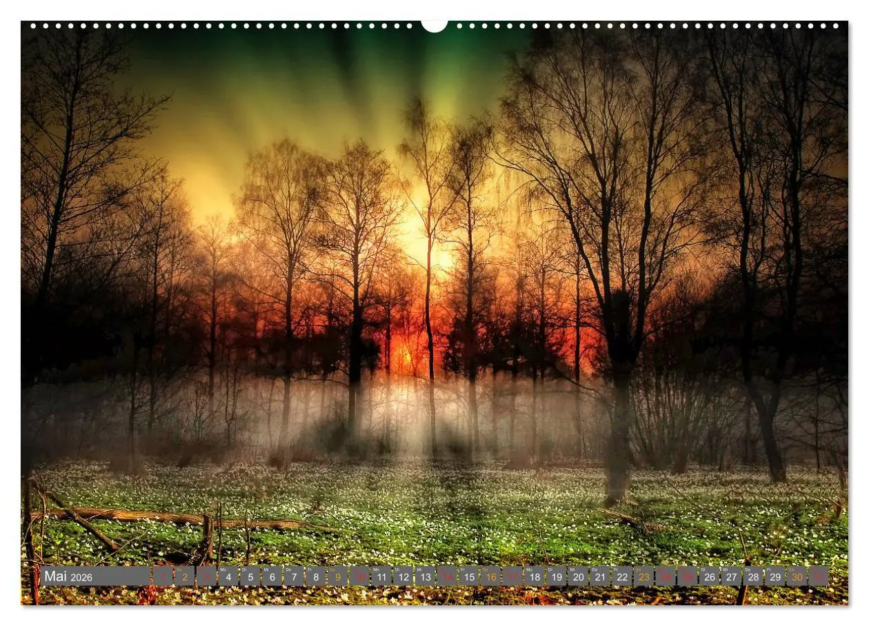 Bild: 9783516205954 | Friesland, verzauberte Landschaft an der Nordsee (Wandkalender 2026...