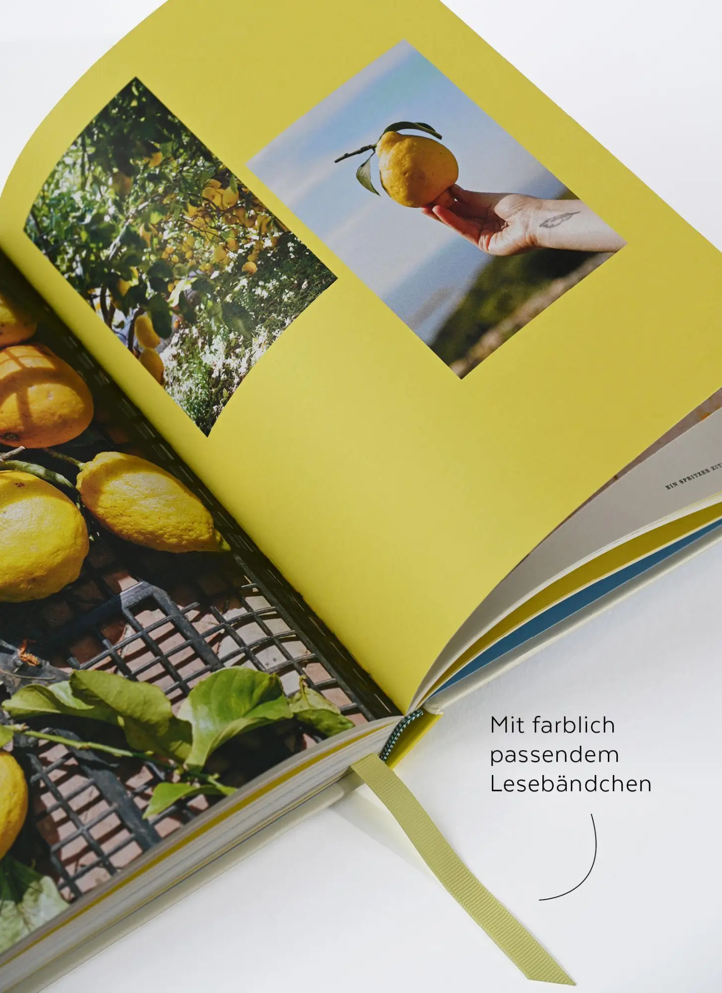 Bild: 9783965845954 | Amore al Limone | Letitia Clark | Buch | 256 S. | Deutsch | 2026 | ZS