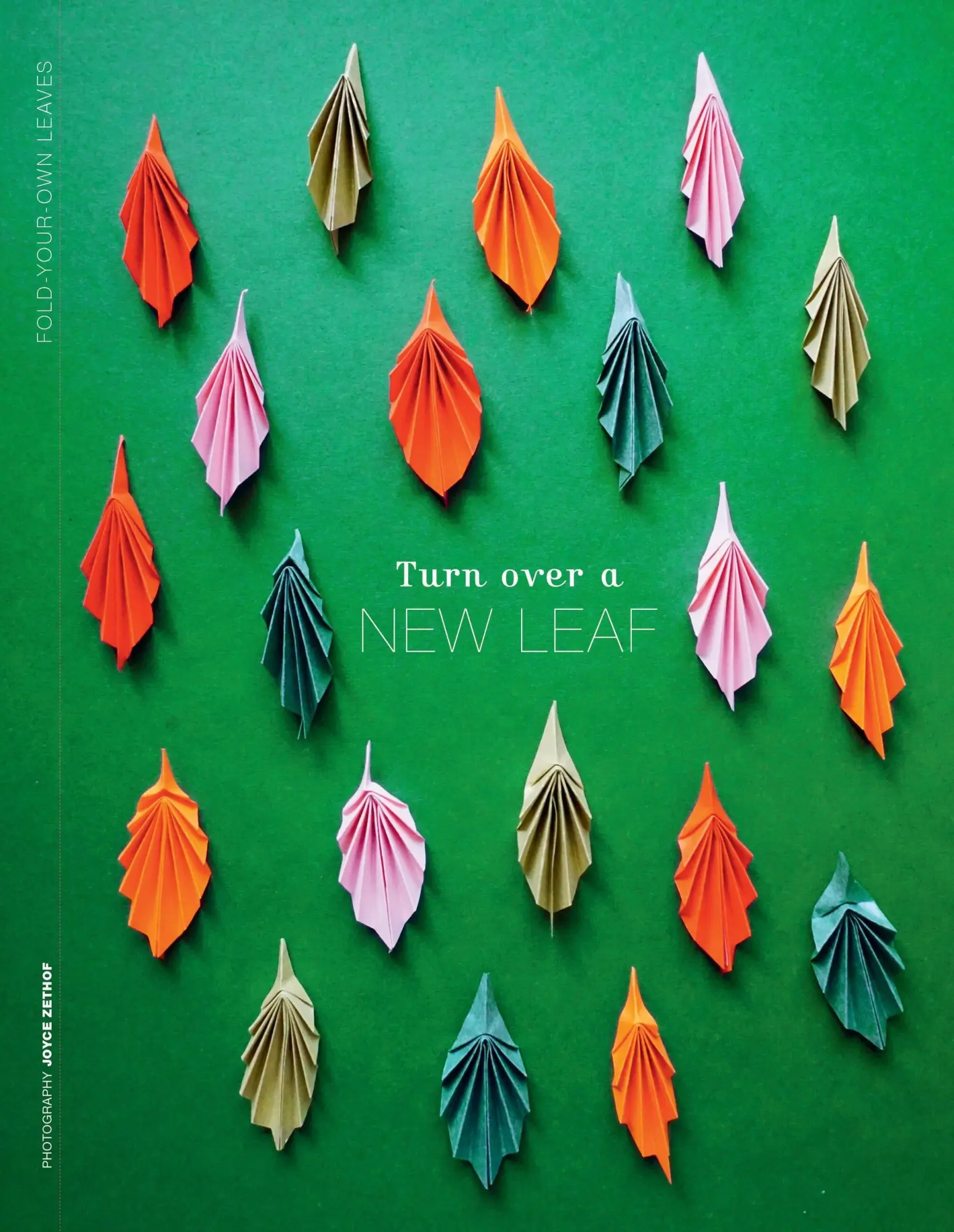 Bild: 9781523536054 | Paper Book for Nature Lovers | Editors of Flow Magazine | Taschenbuch