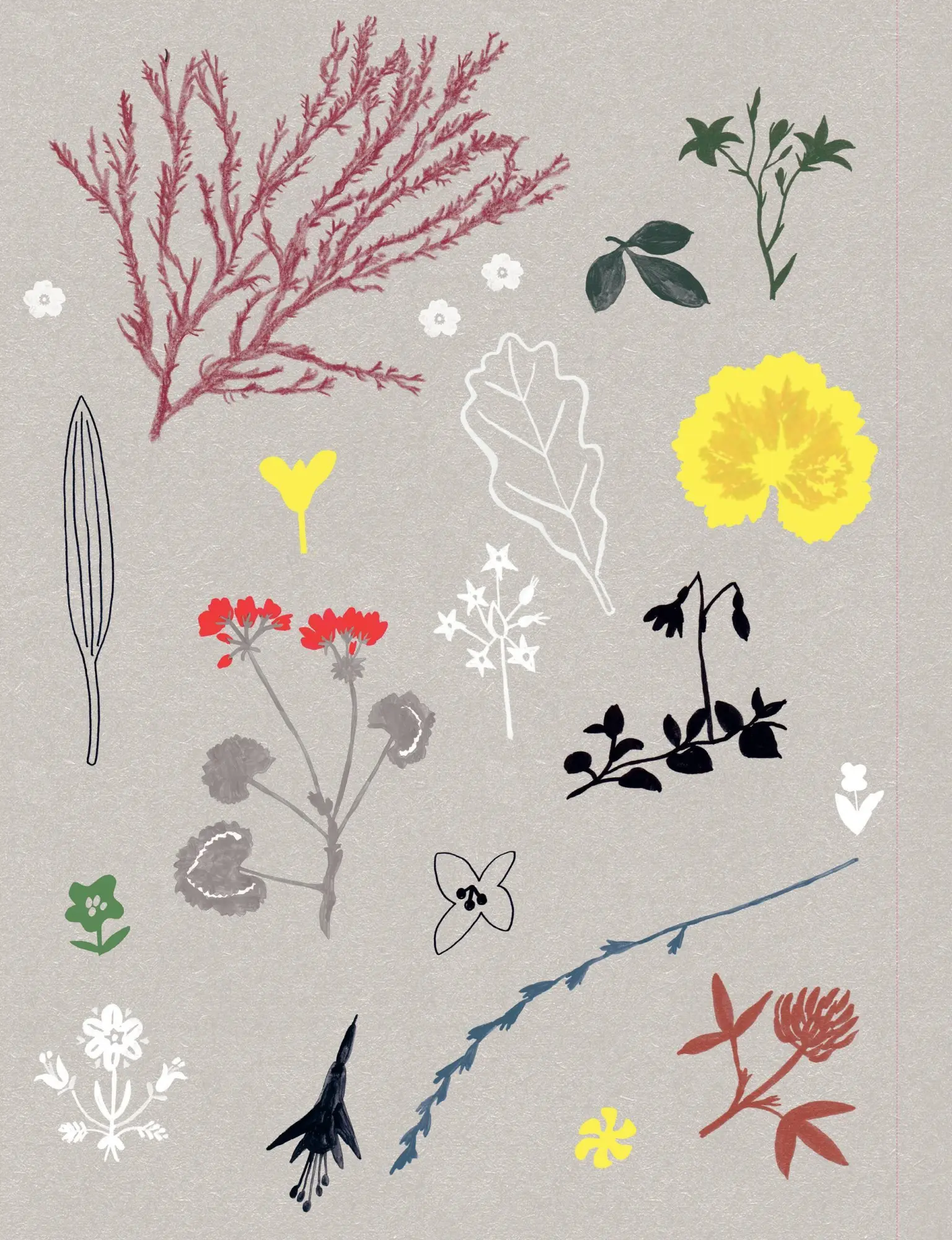 Bild: 9781523536054 | Paper Book for Nature Lovers | Editors of Flow Magazine | Taschenbuch