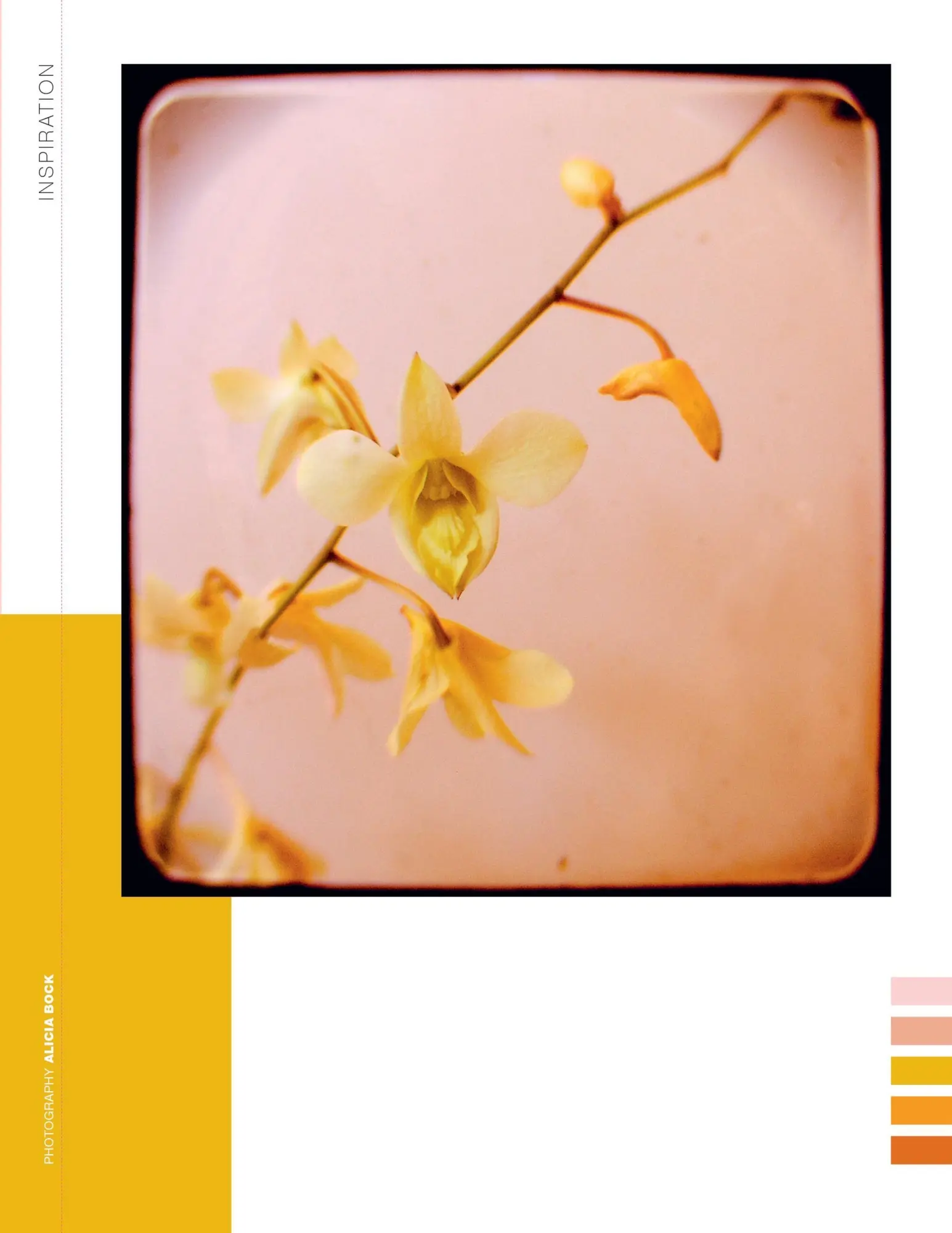 Bild: 9781523536054 | Paper Book for Nature Lovers | Editors of Flow Magazine | Taschenbuch