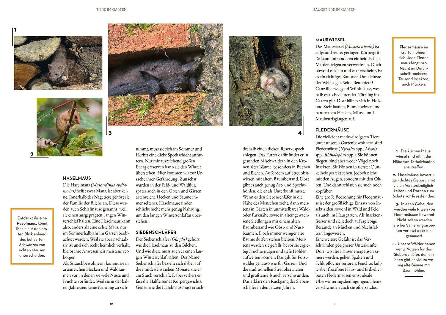 Bild: 9783440176054 | Tierisch guter Garten! | Mareike Fedders | Taschenbuch | 128 S. | 2022
