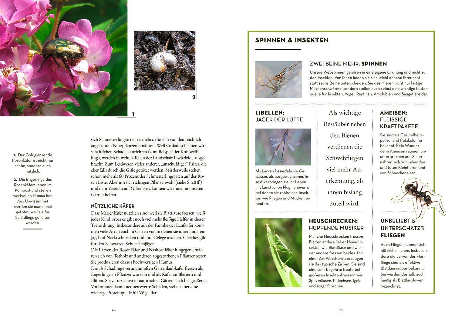 Bild: 9783440176054 | Tierisch guter Garten! | Mareike Fedders | Taschenbuch | 128 S. | 2022