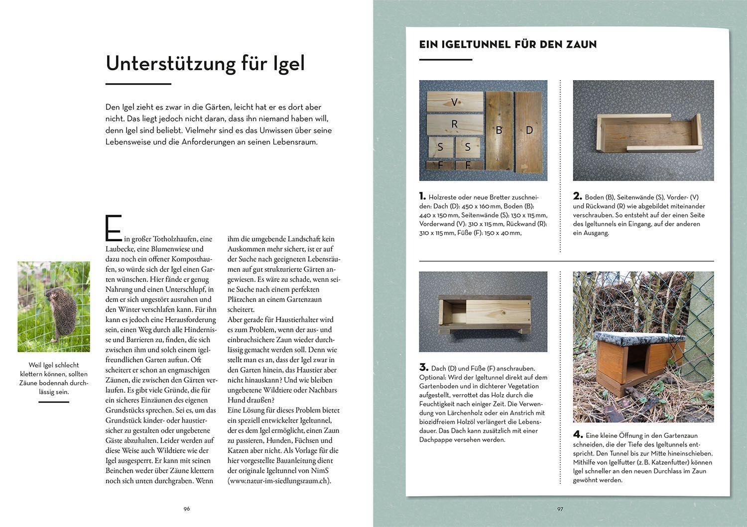 Bild: 9783440176054 | Tierisch guter Garten! | Mareike Fedders | Taschenbuch | 128 S. | 2022