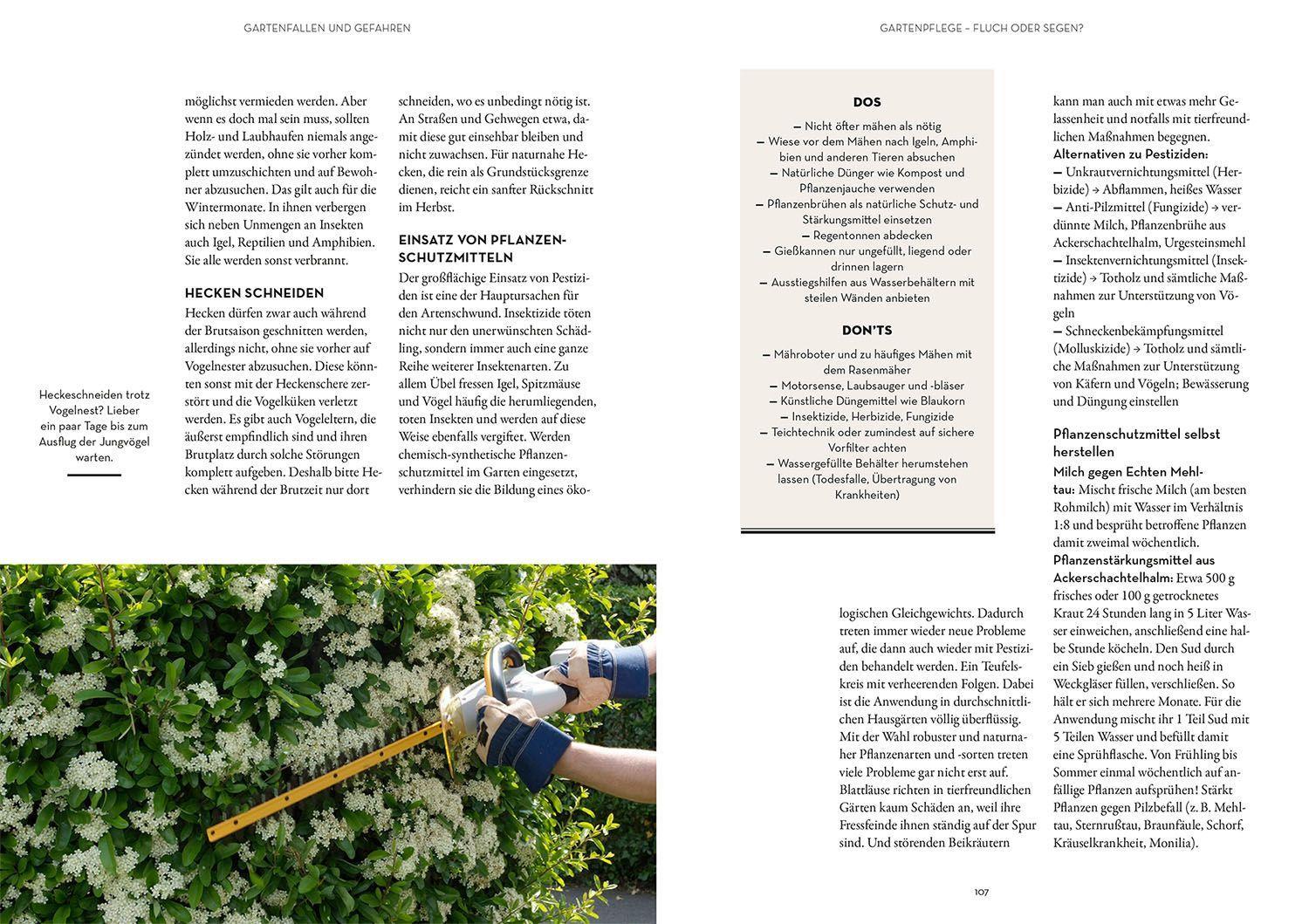 Bild: 9783440176054 | Tierisch guter Garten! | Mareike Fedders | Taschenbuch | 128 S. | 2022