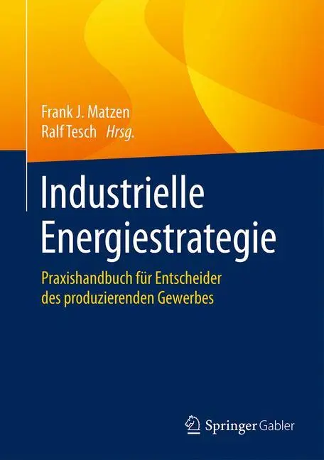 Cover: 9783658076054 | Industrielle Energiestrategie | Ralf Tesch (u. a.) | Buch | xx | 2016