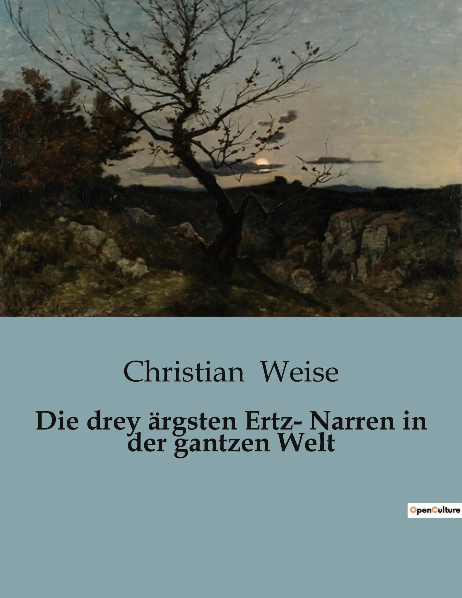 Cover: 9791041906154 | Die drey ärgsten Ertz- Narren in der gantzen Welt | Christian Weise