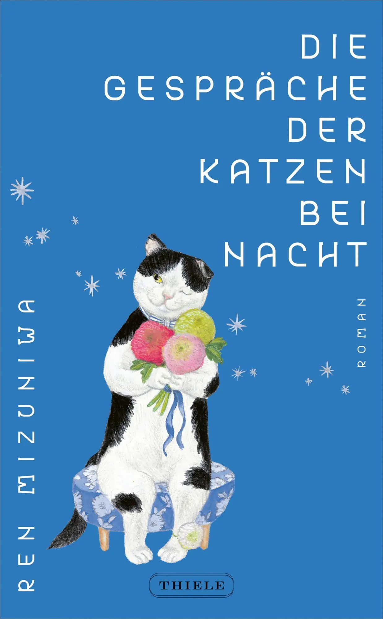 Cover: 9783851796254 | Die Gespräche der Katzen bei Nacht | Ren Mizuniwa | Buch | 272 S.