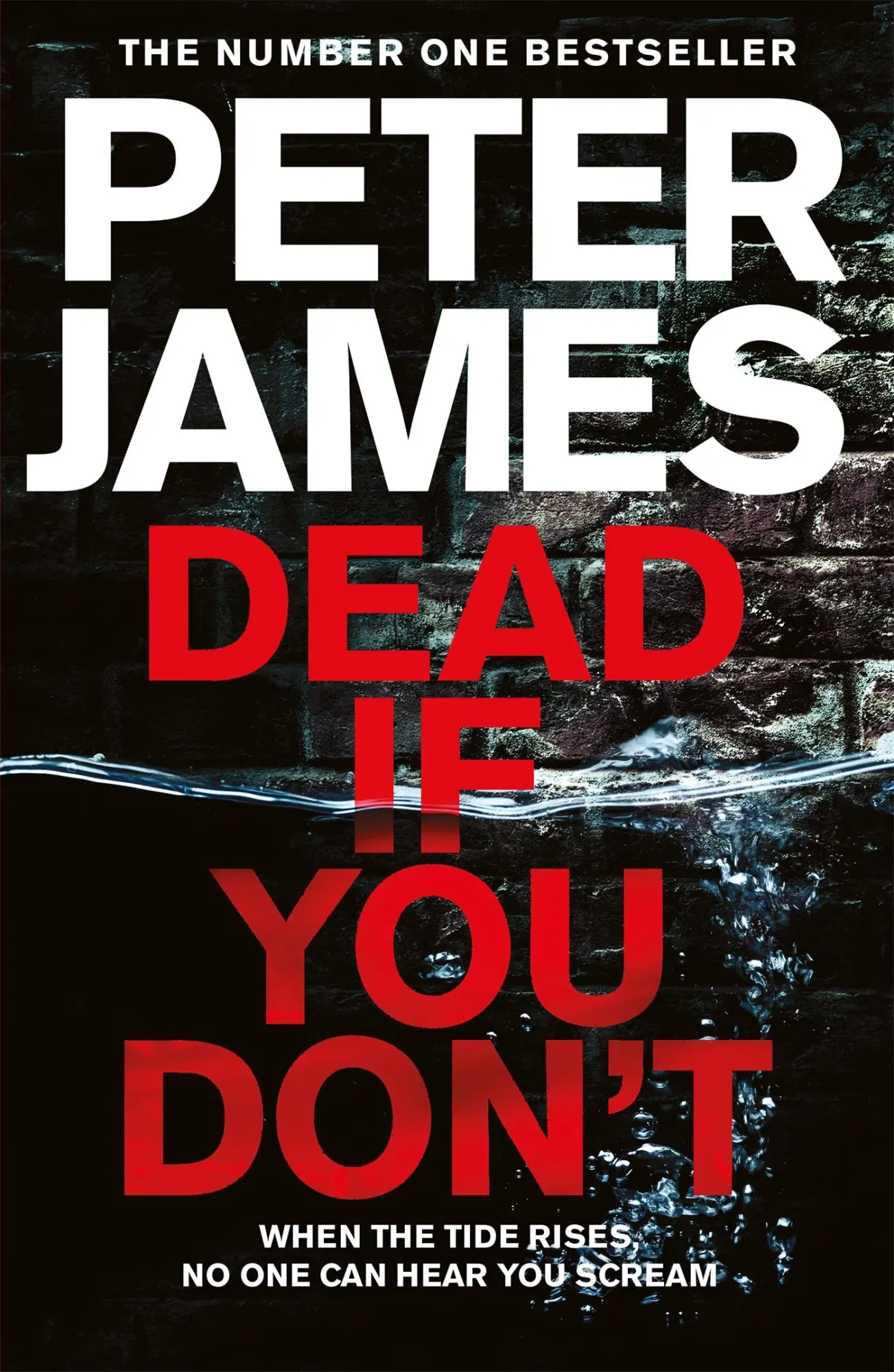 Cover: 9781509816354 | Dead If You Don't | Peter James | Buch | Roy Grace | Gebunden | 2018