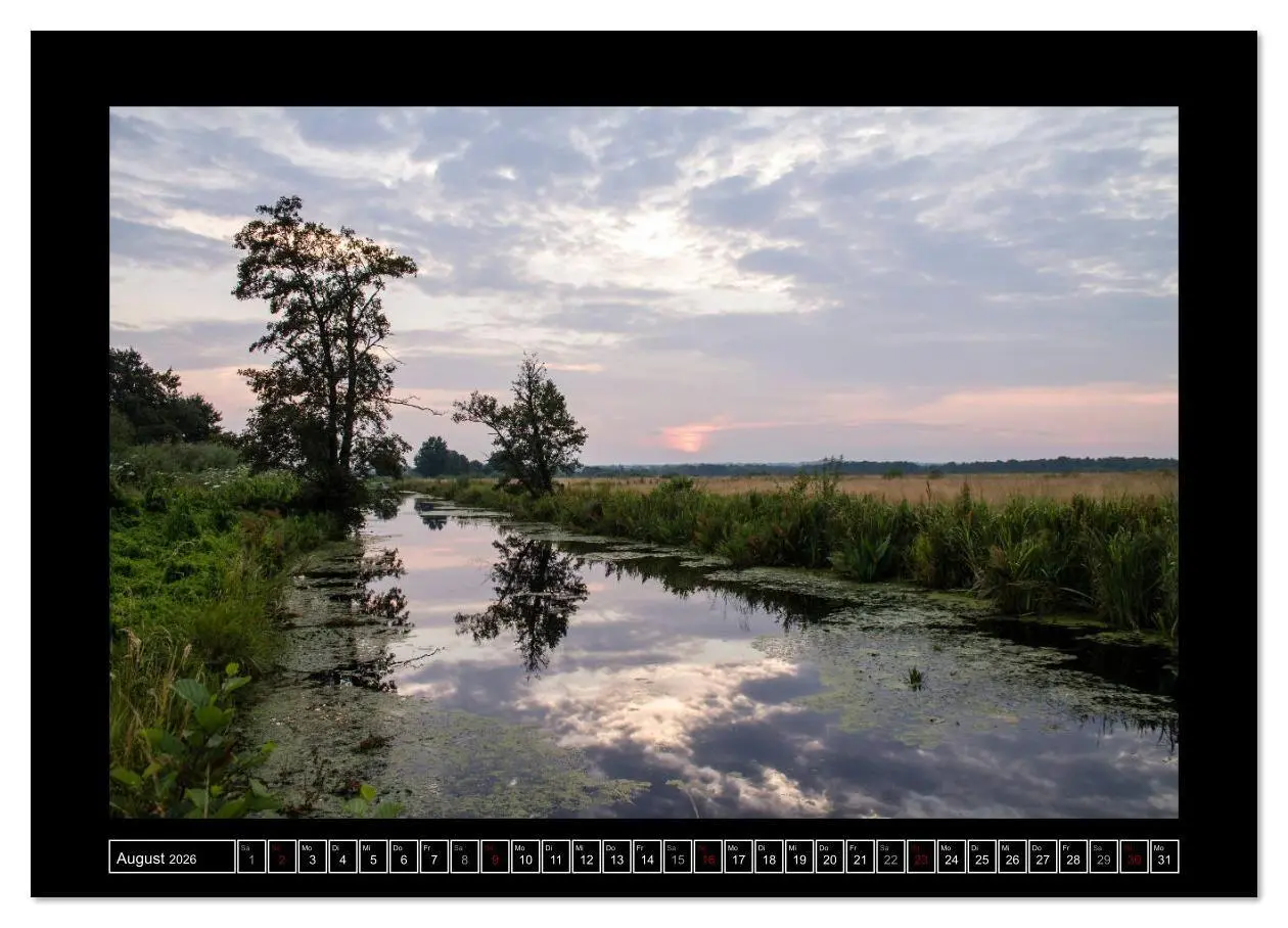 Bild: 9783457906354 | Lichtlandschaft Worpswede (Wandkalender 2026 DIN A4 quer), CALVENDO...