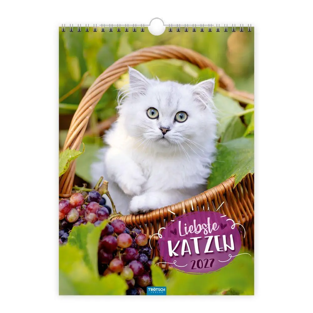 Cover: 9783988026354 | TRÖTSCH - Classickalender Liebste Katzen 2027 | Wandkalender | KG