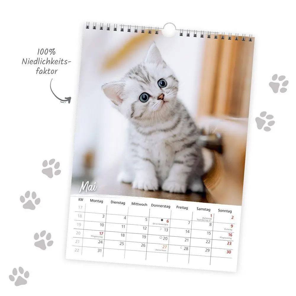 Bild: 9783988026354 | TRÖTSCH - Classickalender Liebste Katzen 2027 | Wandkalender | KG