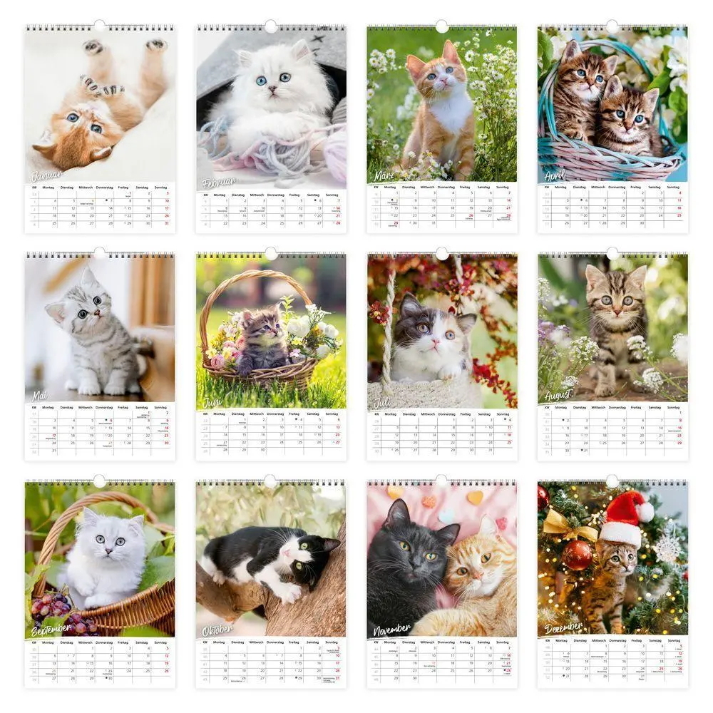 Bild: 9783988026354 | TRÖTSCH - Classickalender Liebste Katzen 2027 | Wandkalender | KG