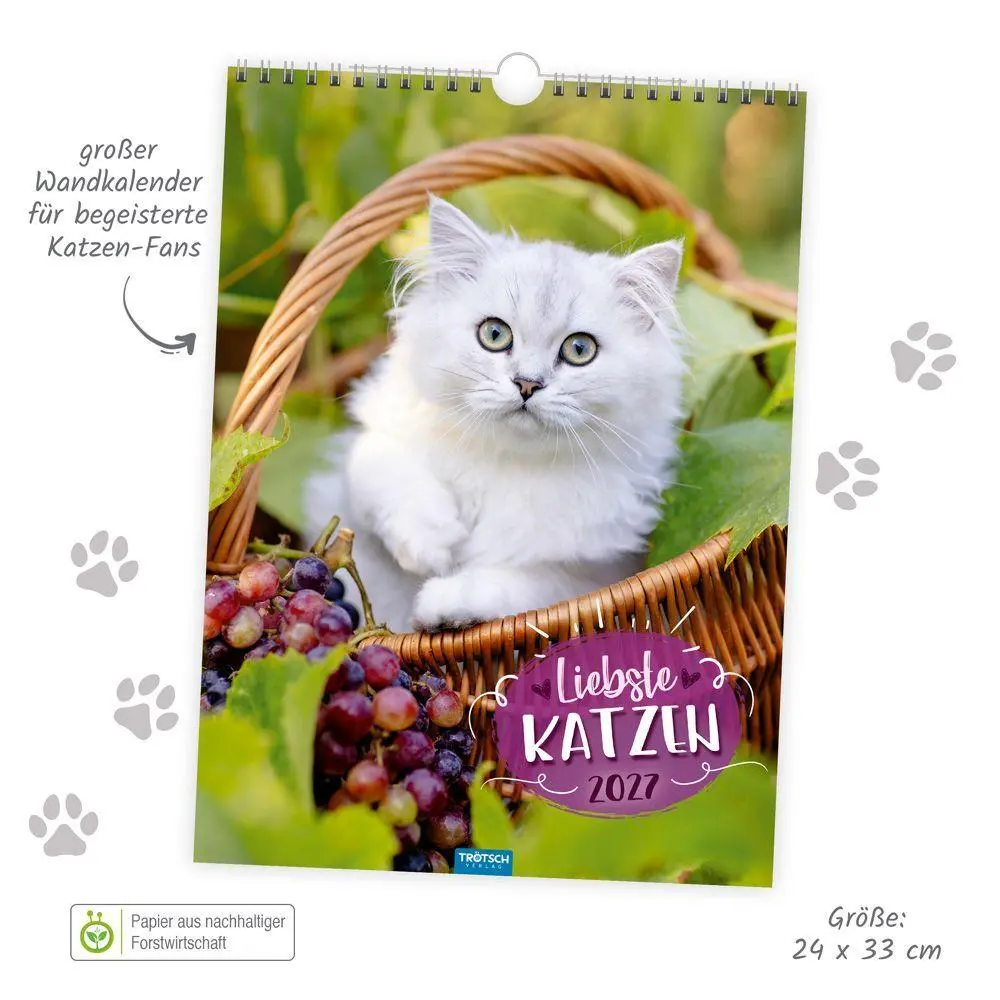 Bild: 9783988026354 | TRÖTSCH - Classickalender Liebste Katzen 2027 | Wandkalender | KG