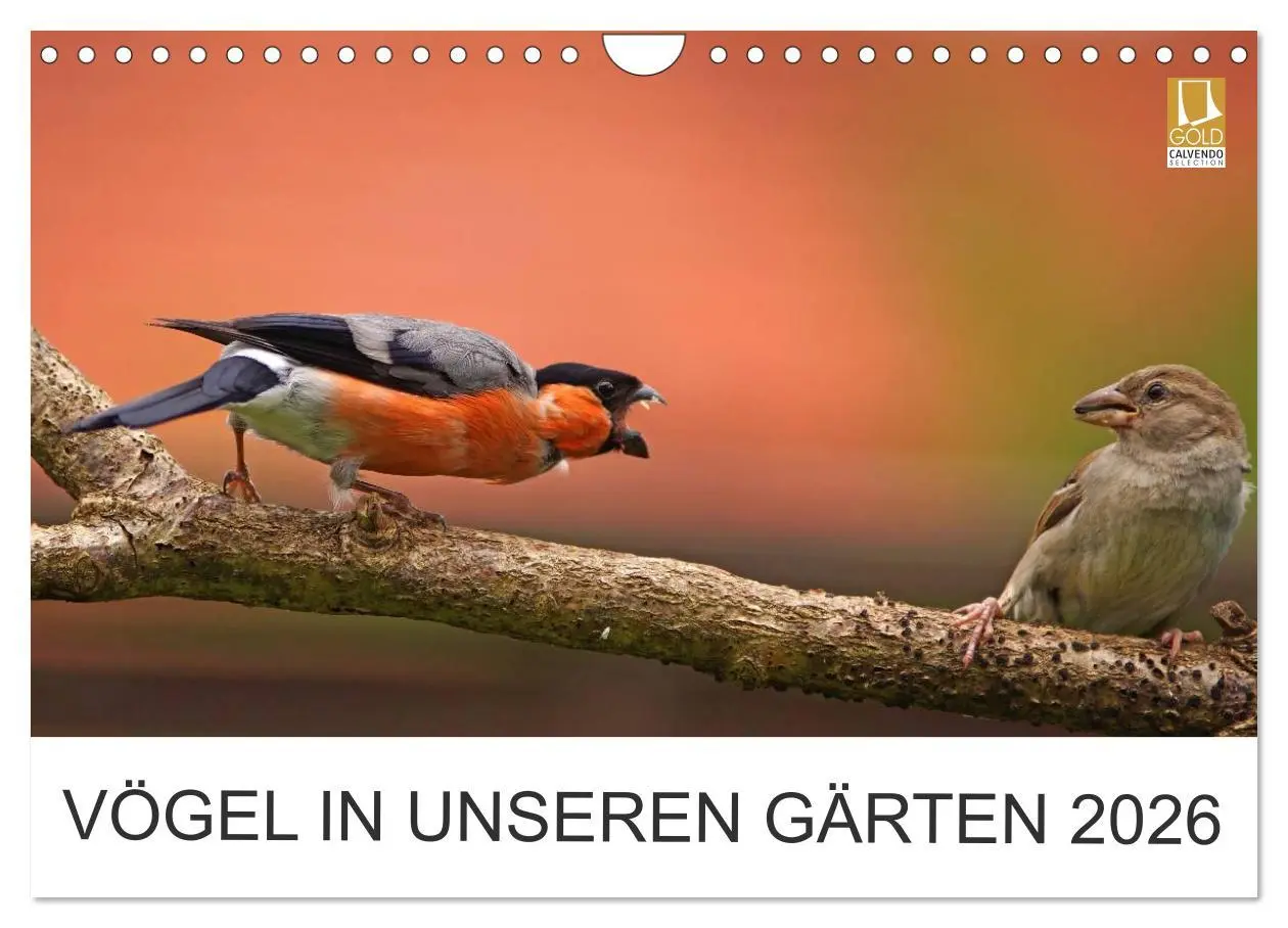 Cover: 9783516156454 | Vögel in unseren Gärten 2026 (Wandkalender 2026 DIN A4 quer),...