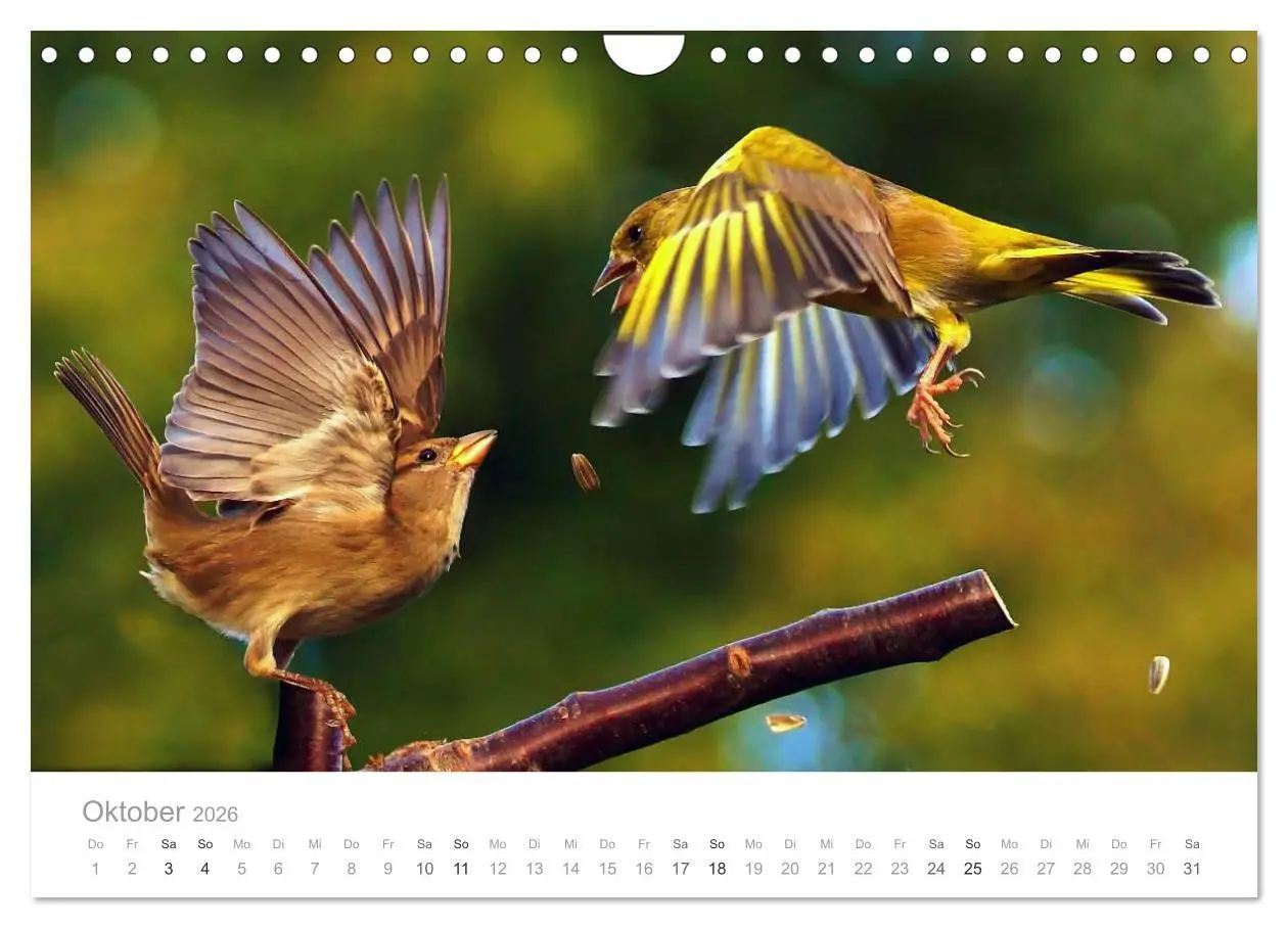 Bild: 9783516156454 | Vögel in unseren Gärten 2026 (Wandkalender 2026 DIN A4 quer),...