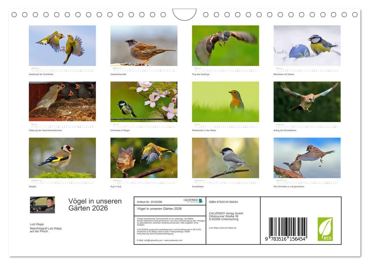 Bild: 9783516156454 | Vögel in unseren Gärten 2026 (Wandkalender 2026 DIN A4 quer),...