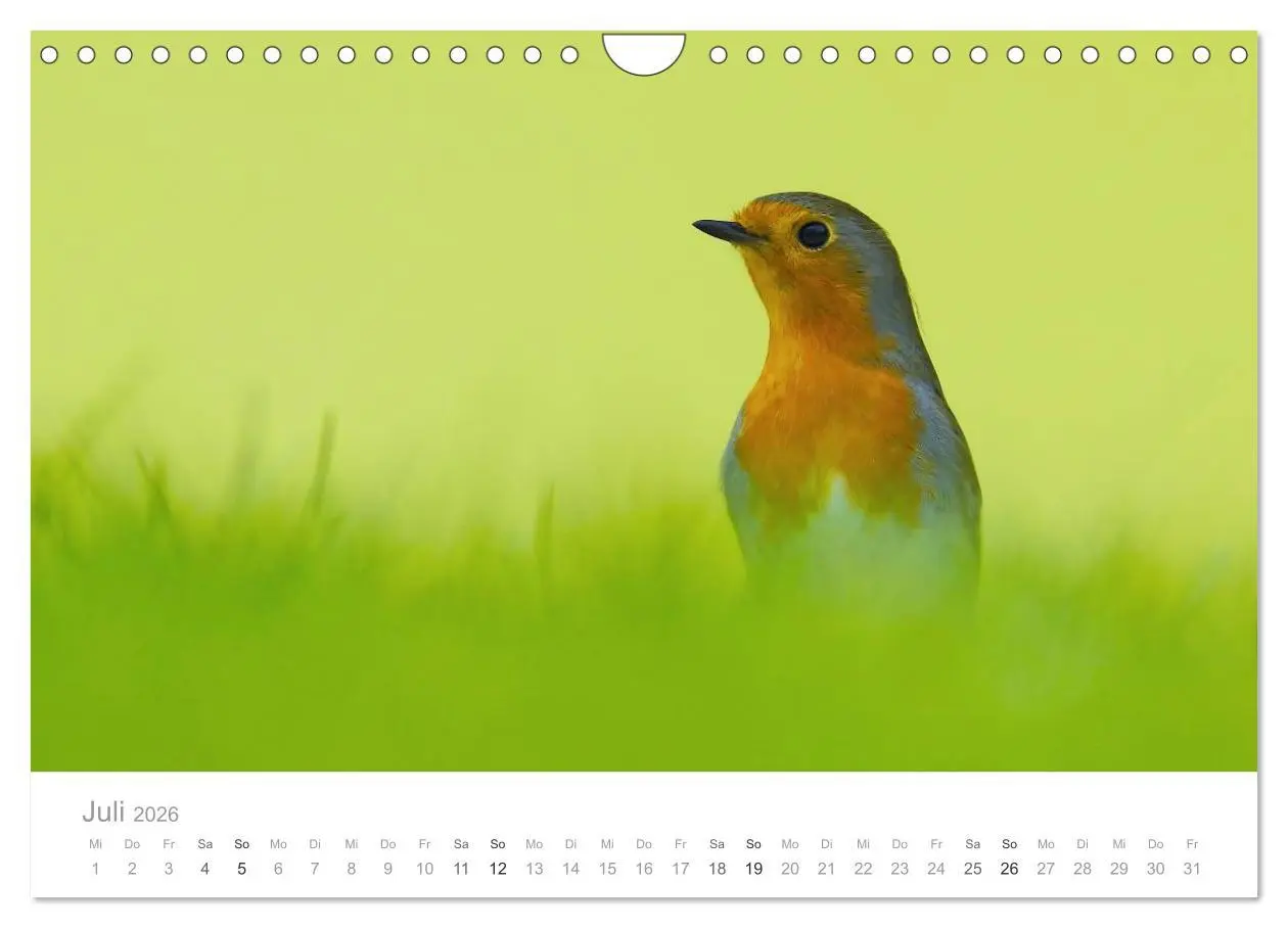 Bild: 9783516156454 | Vögel in unseren Gärten 2026 (Wandkalender 2026 DIN A4 quer),...