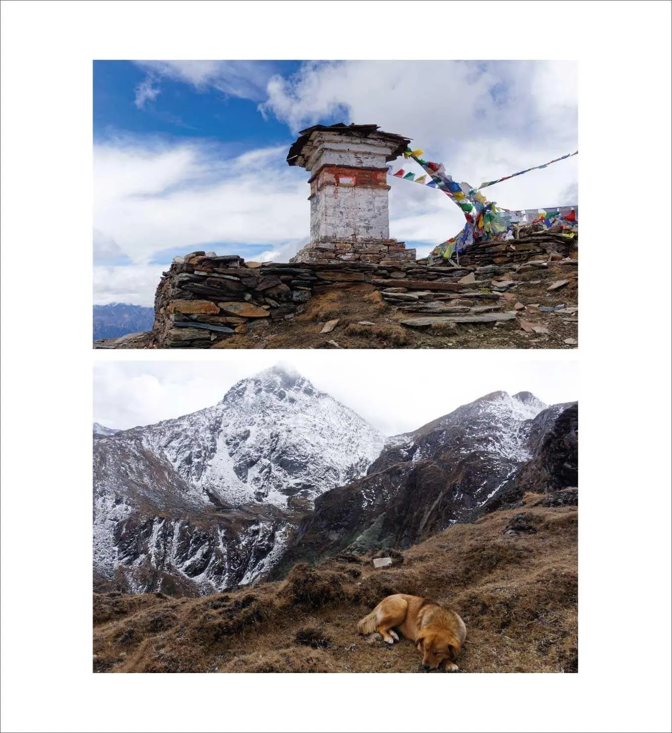 Bild: 9783866866454 | Der Snowman Trek in Bhutan | Trekkingabenteuer im Himalaya | Hoyer