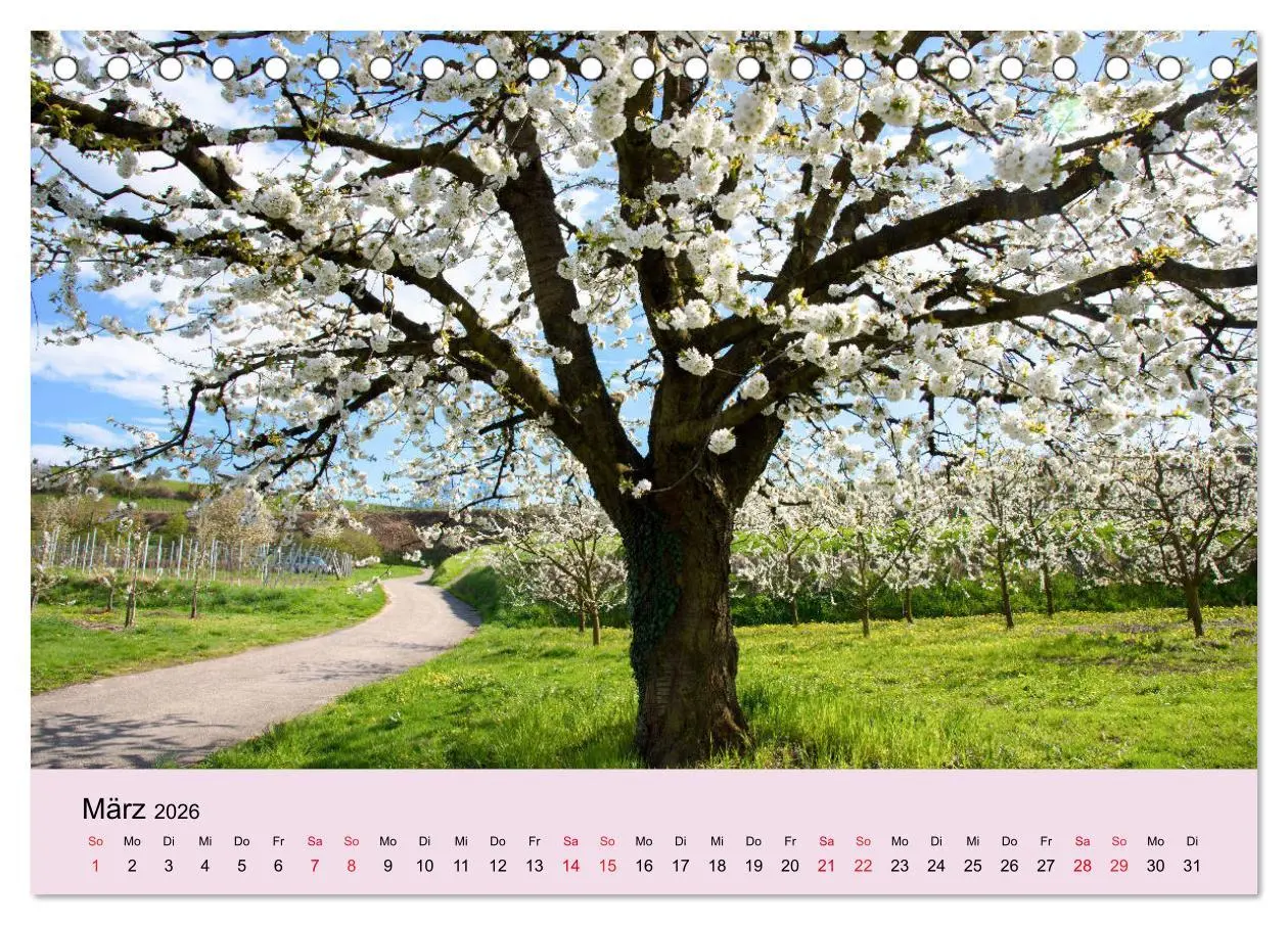 Bild: 9783457676554 | Augenblicke im Kaiserstuhl (Tischkalender 2026 DIN A5 quer),...