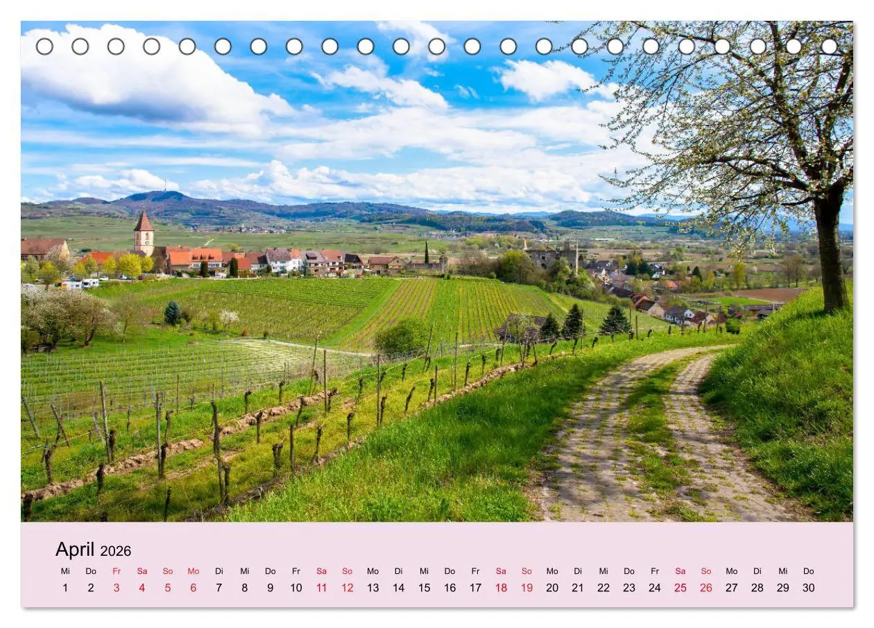 Bild: 9783457676554 | Augenblicke im Kaiserstuhl (Tischkalender 2026 DIN A5 quer),...