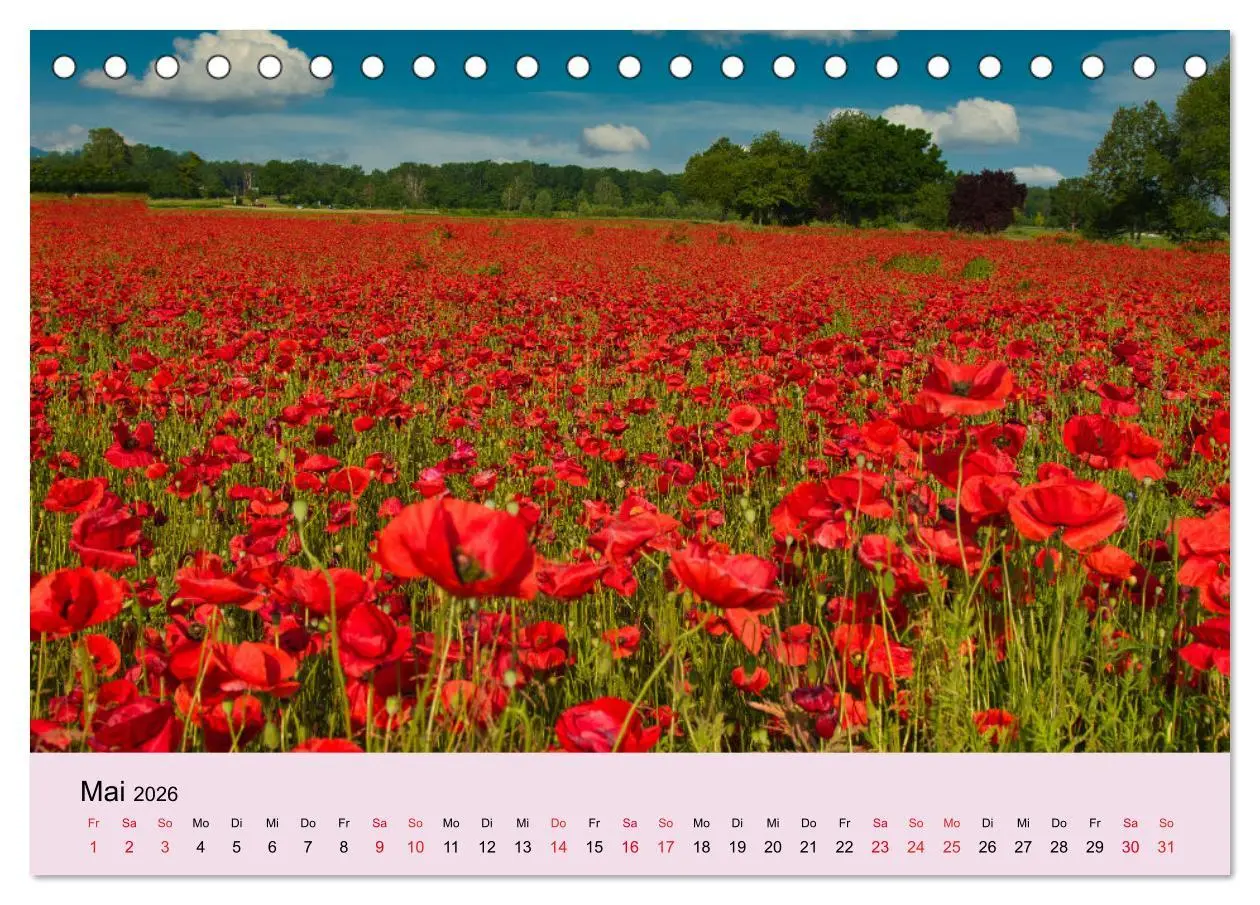 Bild: 9783457676554 | Augenblicke im Kaiserstuhl (Tischkalender 2026 DIN A5 quer),...