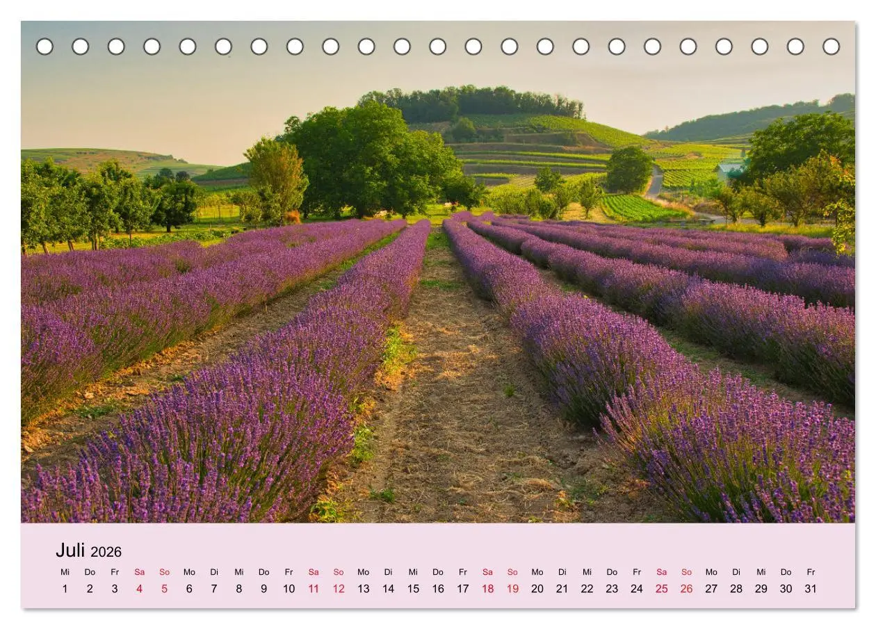 Bild: 9783457676554 | Augenblicke im Kaiserstuhl (Tischkalender 2026 DIN A5 quer),...