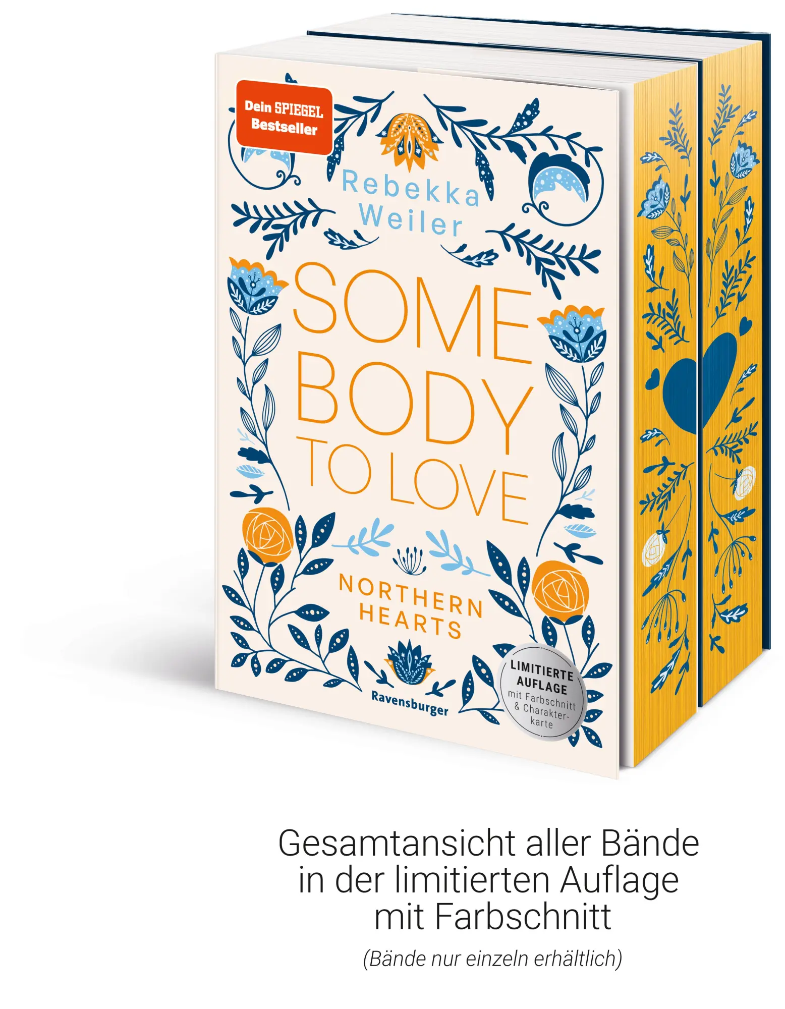 Bild: 9783473586554 | Northern-Hearts-Reihe, Band 2 - Somebody to Hold. | Rebekka Weiler