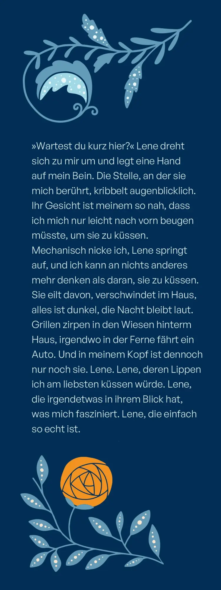 Bild: 9783473586554 | Northern-Hearts-Reihe, Band 2 - Somebody to Hold. | Rebekka Weiler