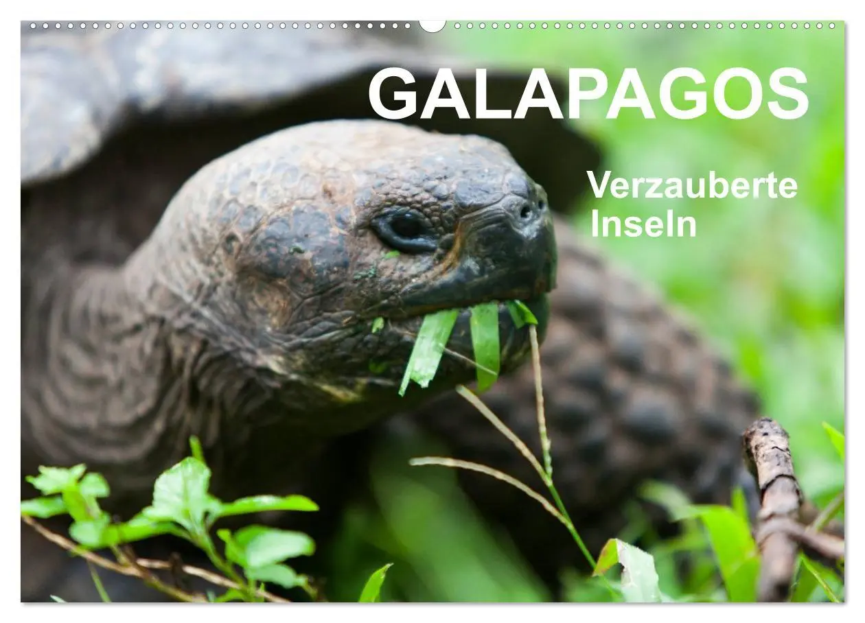 Cover: 9783516076554 | Galapagos. Verzauberte Inseln (Wandkalender 2026 DIN A2 quer),...